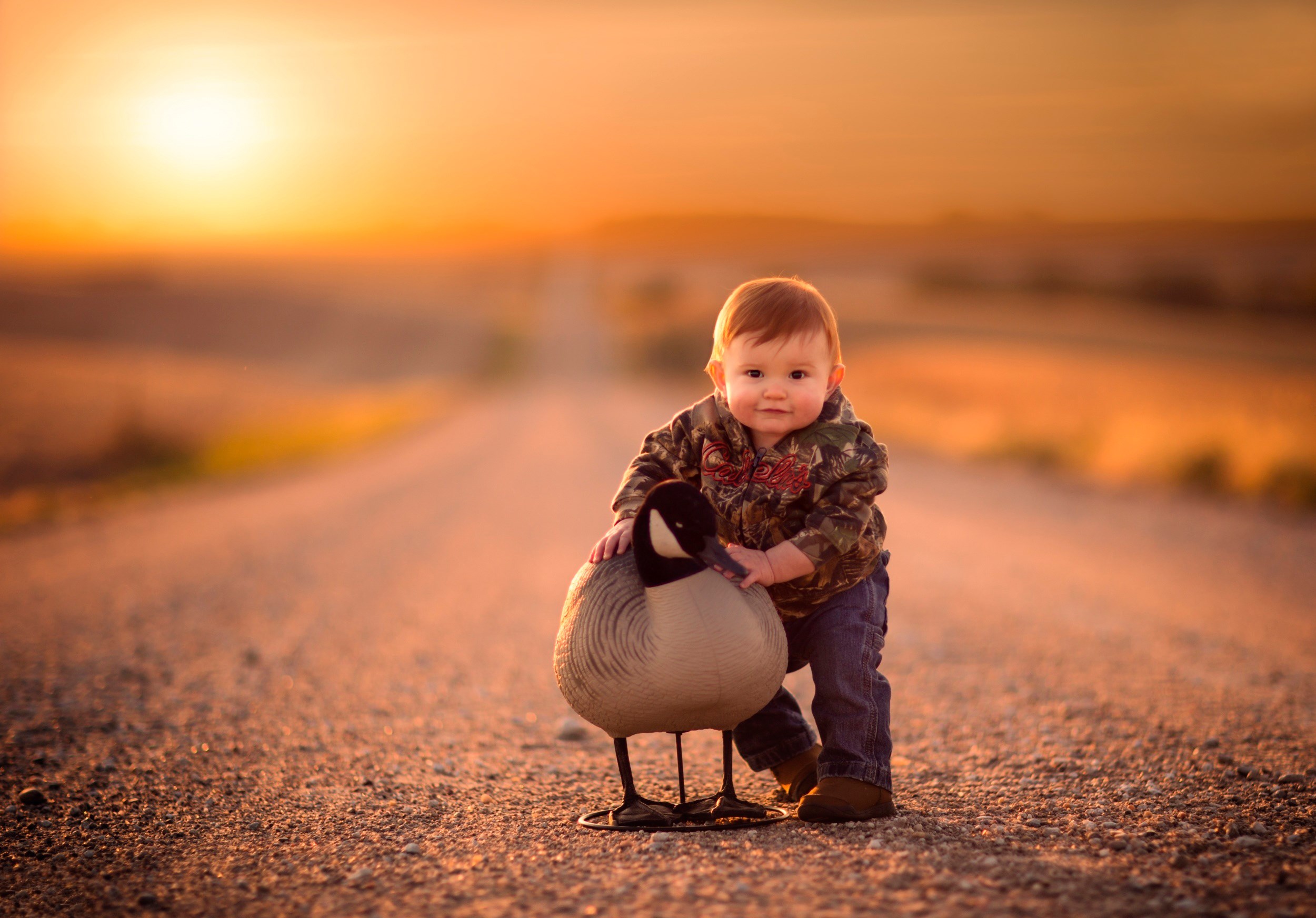 Baby with goose decoy at sunset HD Wallpaper