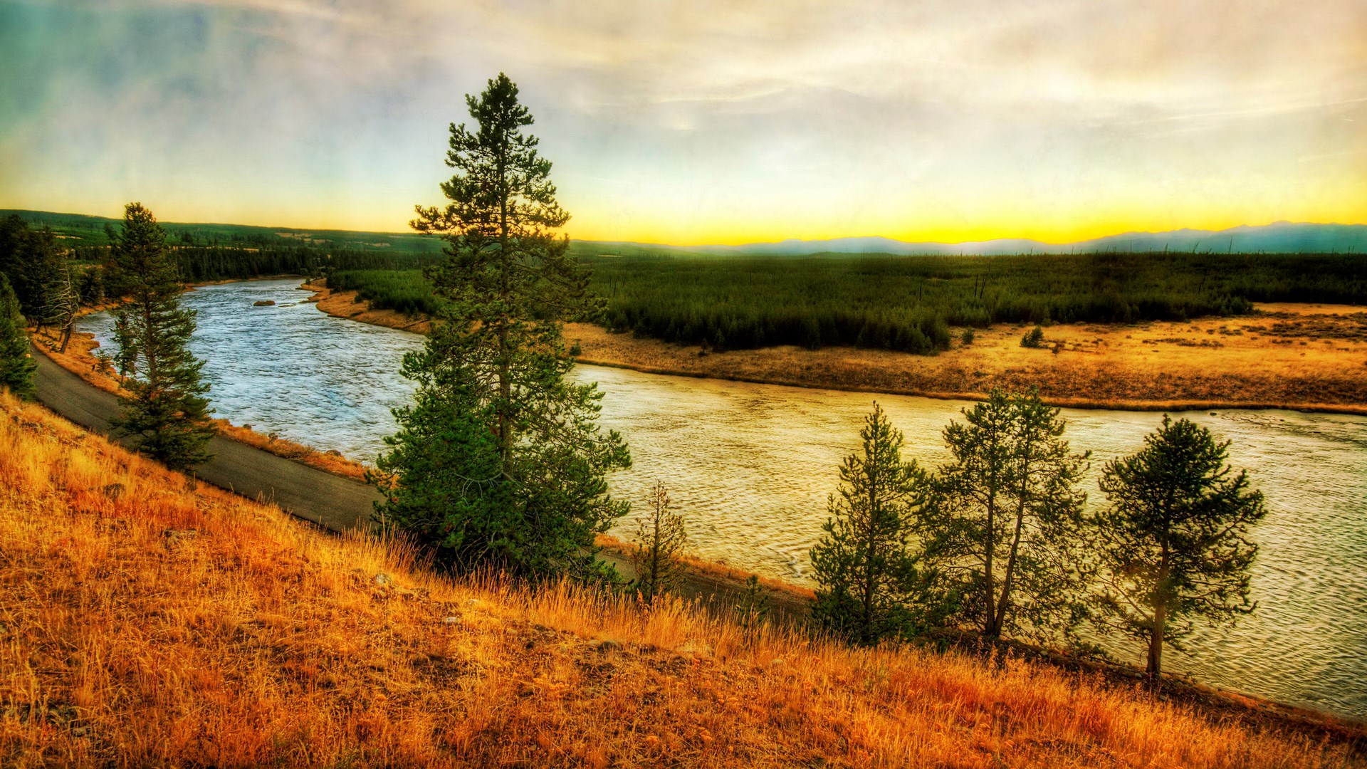 River flowing through a forest at sunset HD Wallpaper