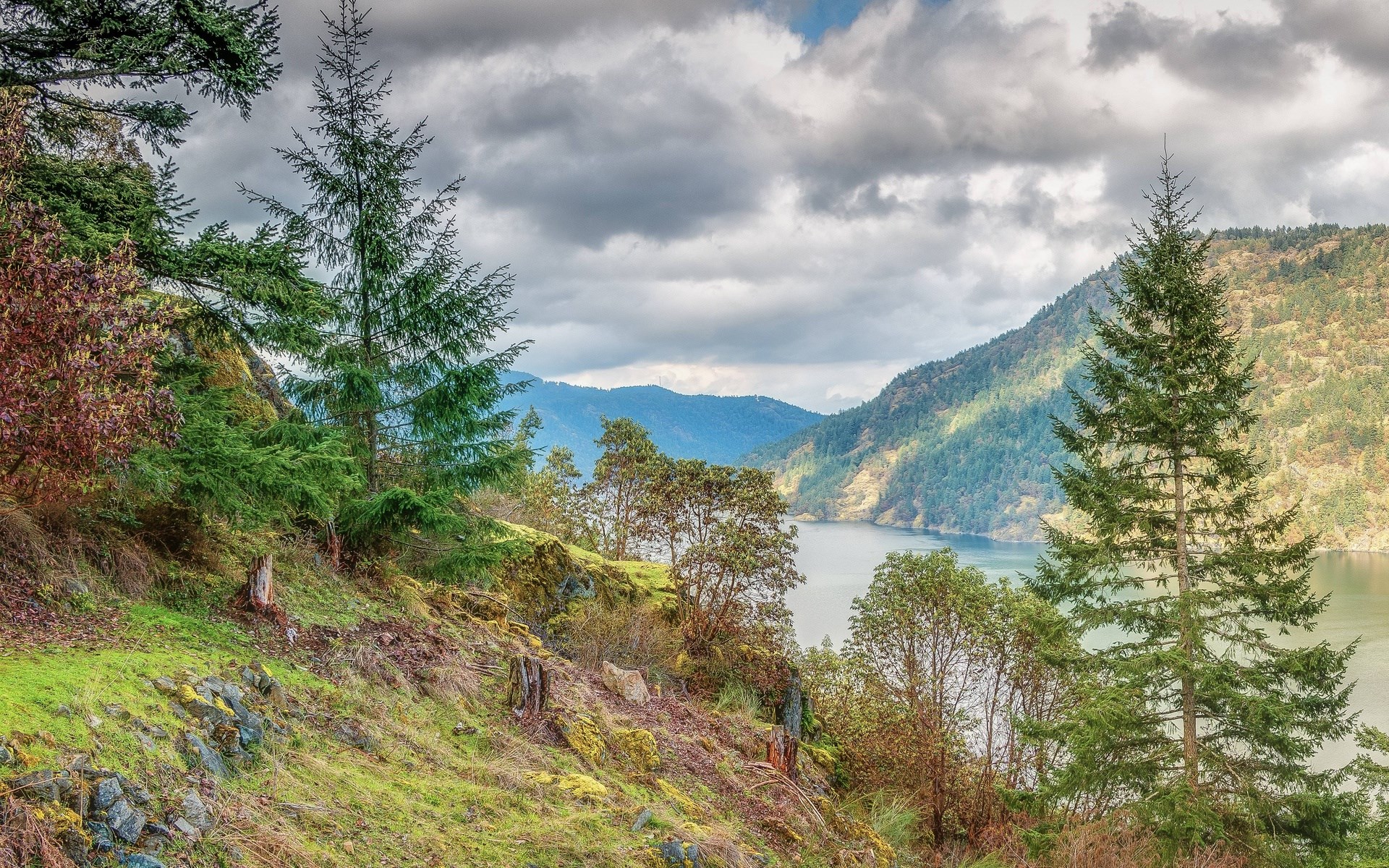 Mountain Lake View with Evergreen Trees HD Wallpaper