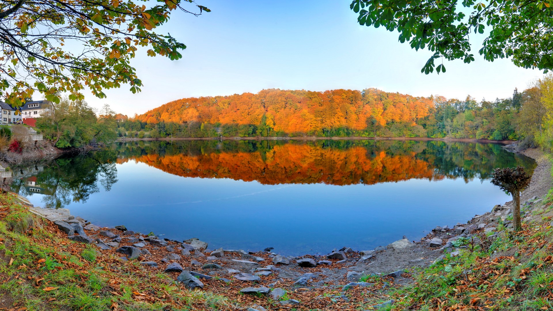 Autumn forest reflected in a calm lake HD Wallpaper