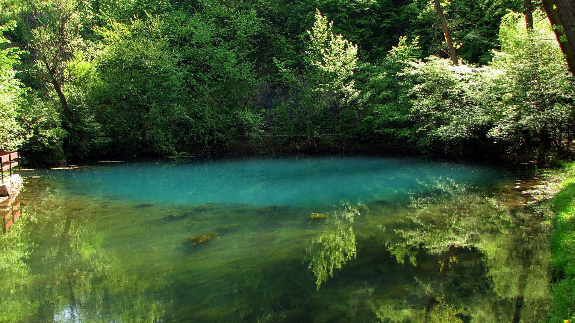 Blue spring surrounded by lush green trees HD Wallpaper