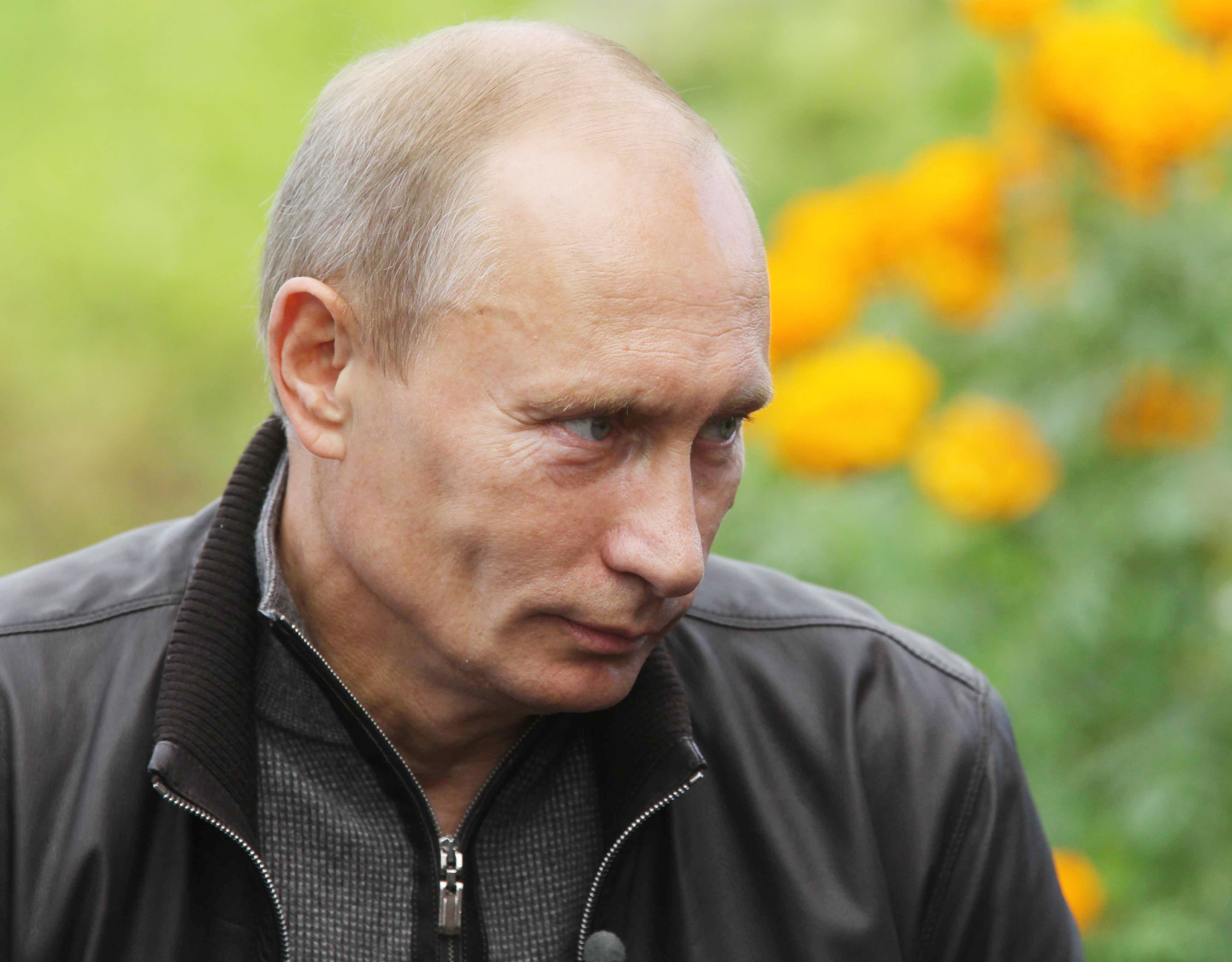 Vladimir Putin Portrait in Outdoor Setting 4K HD Wallpaper