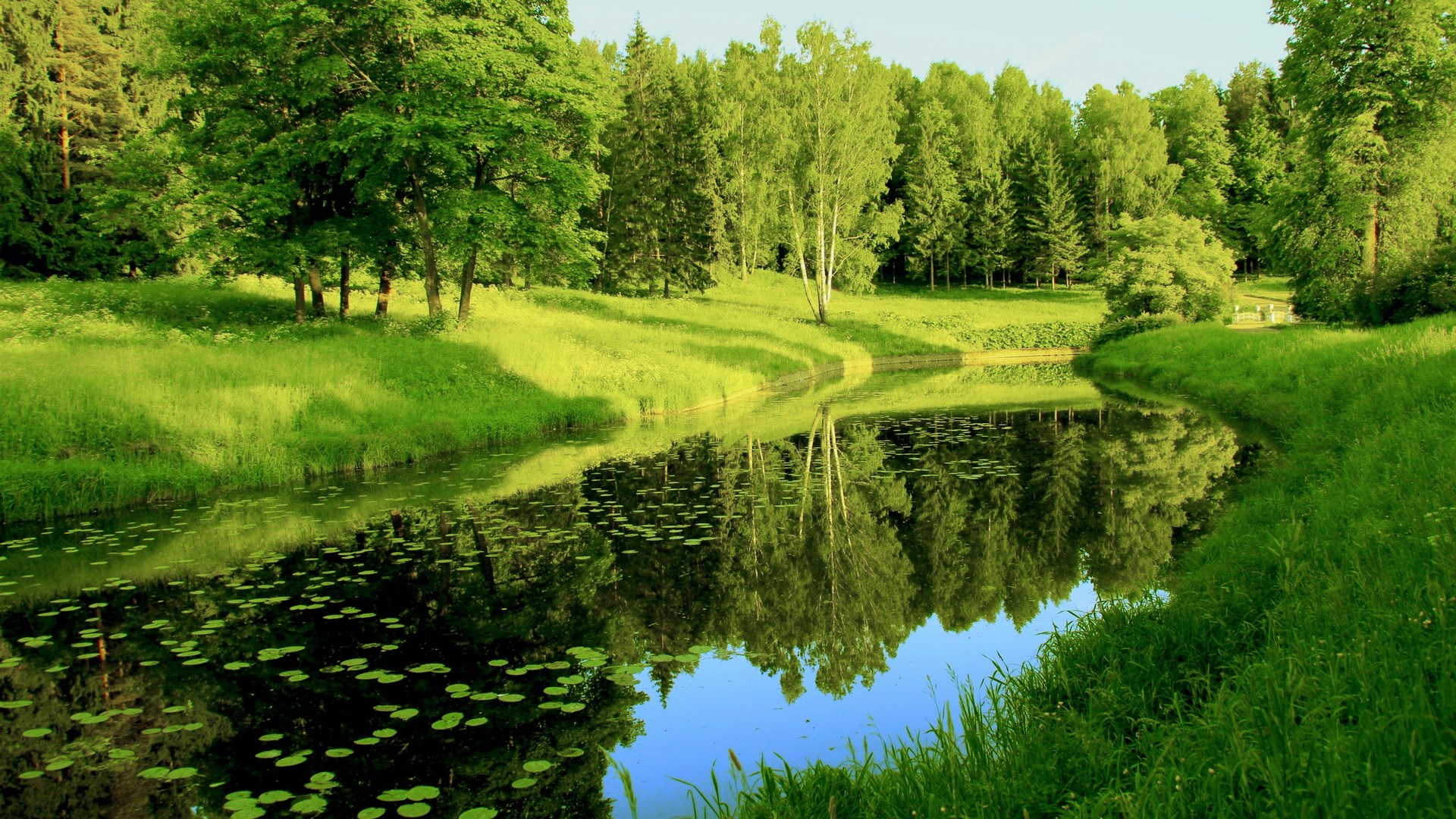 A tranquil river flows through a sunlit forest with reflections. HD Wallpaper