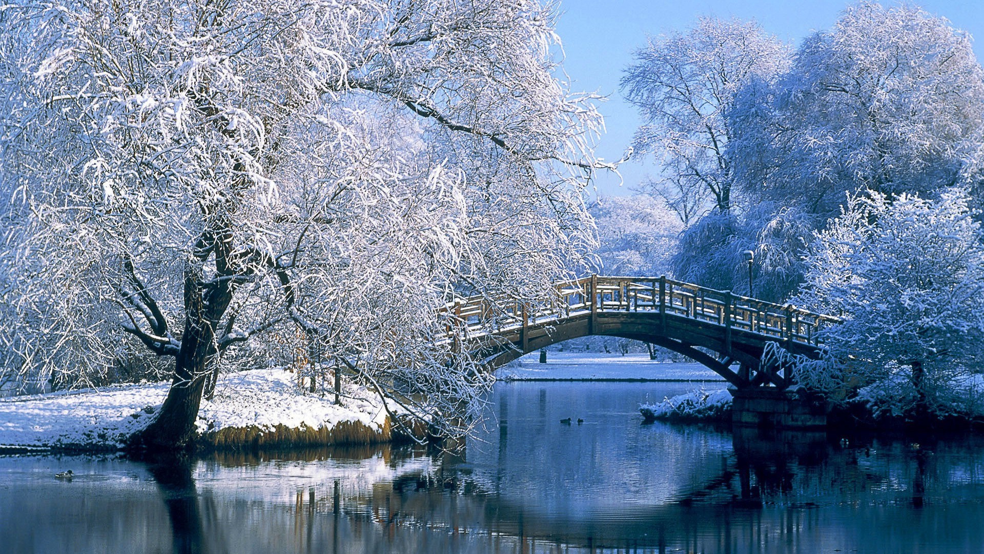 Snow-covered bridge over a tranquil lake in winter HD Wallpaper