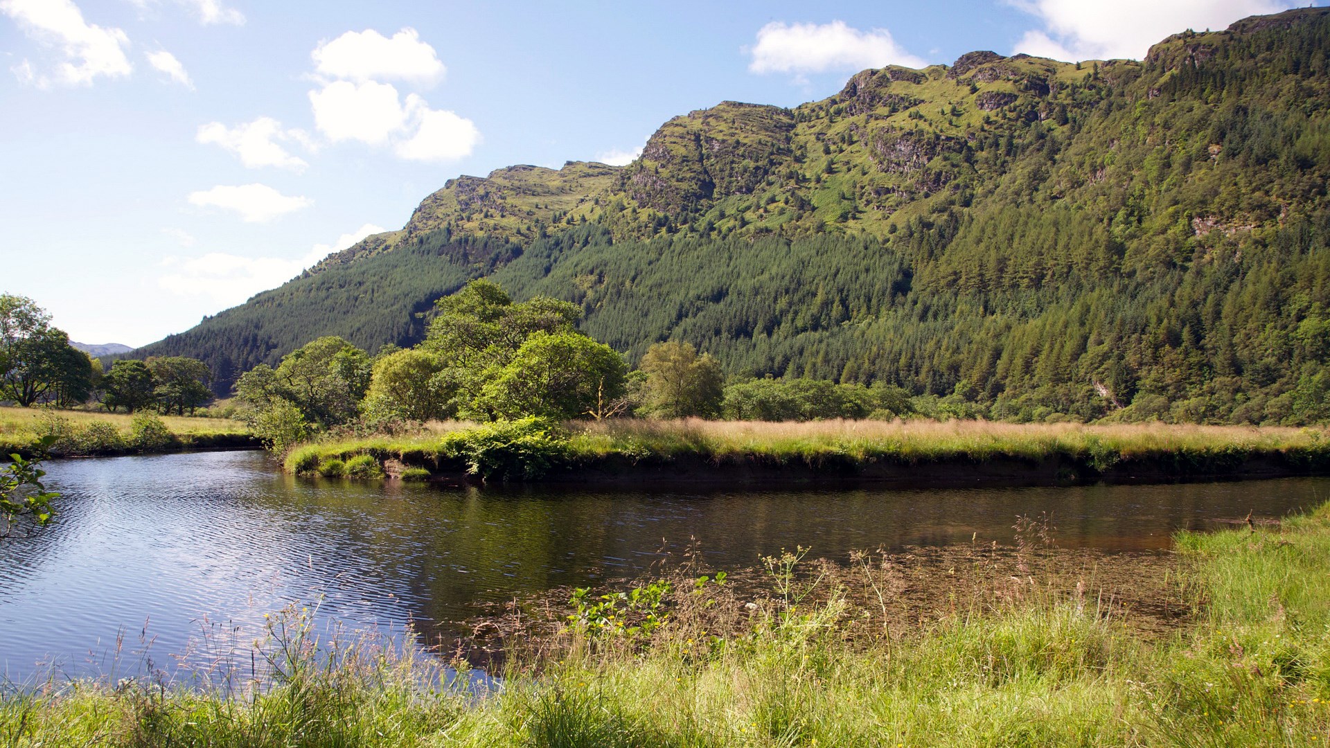 River flowing through a valley with forested mountains HD Wallpaper