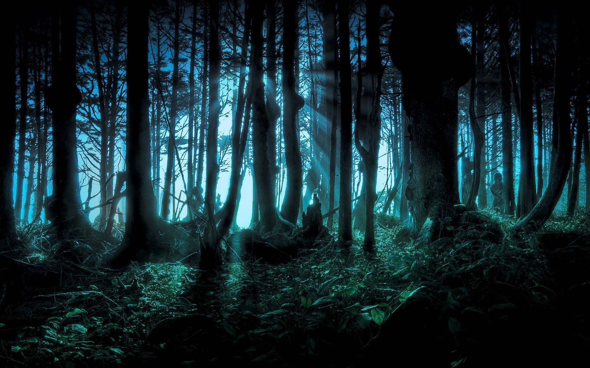 Dark forest with blue light and sunbeams HD Wallpaper