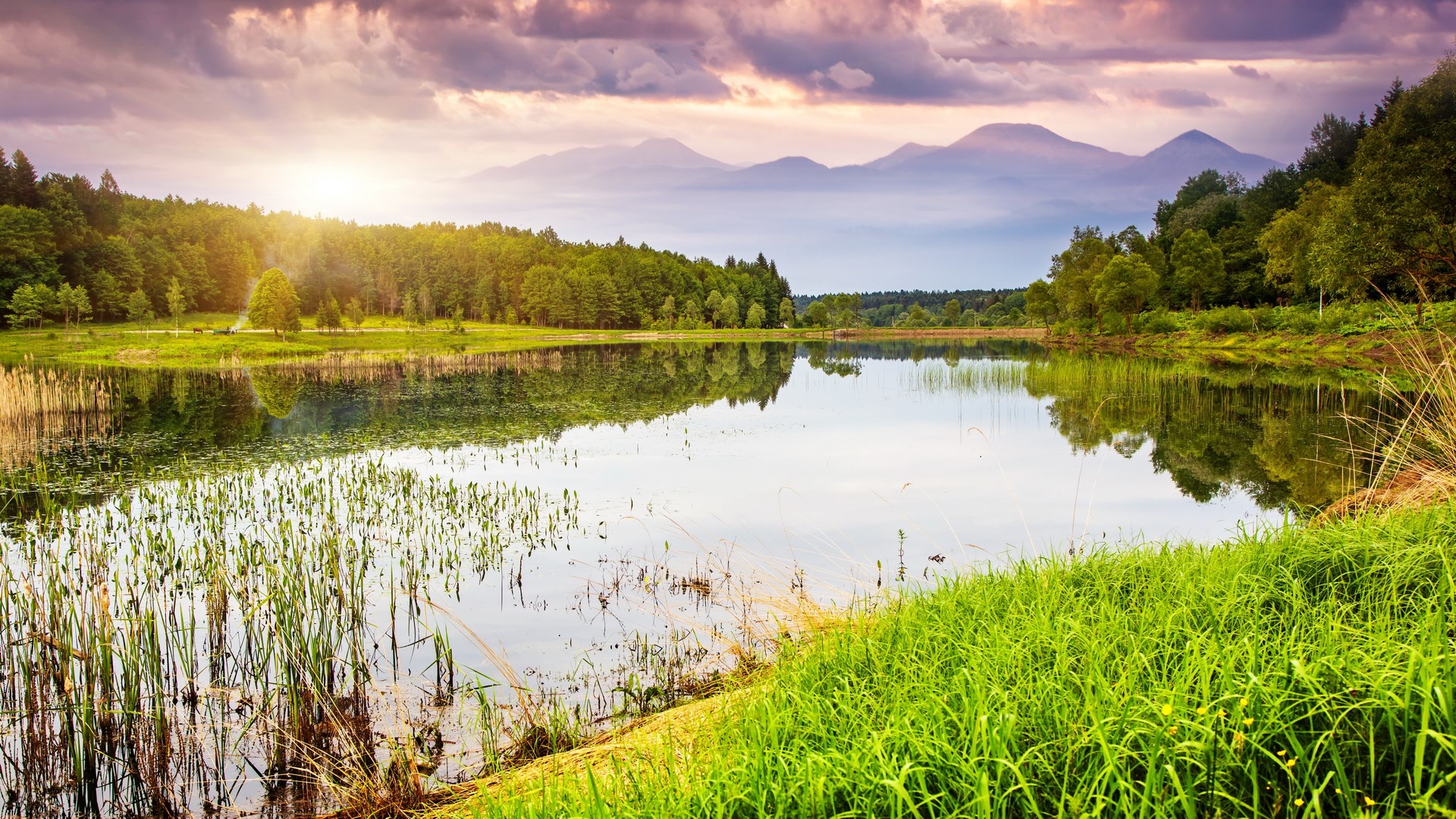 Lake with forest and mountains at sunset HD Wallpaper