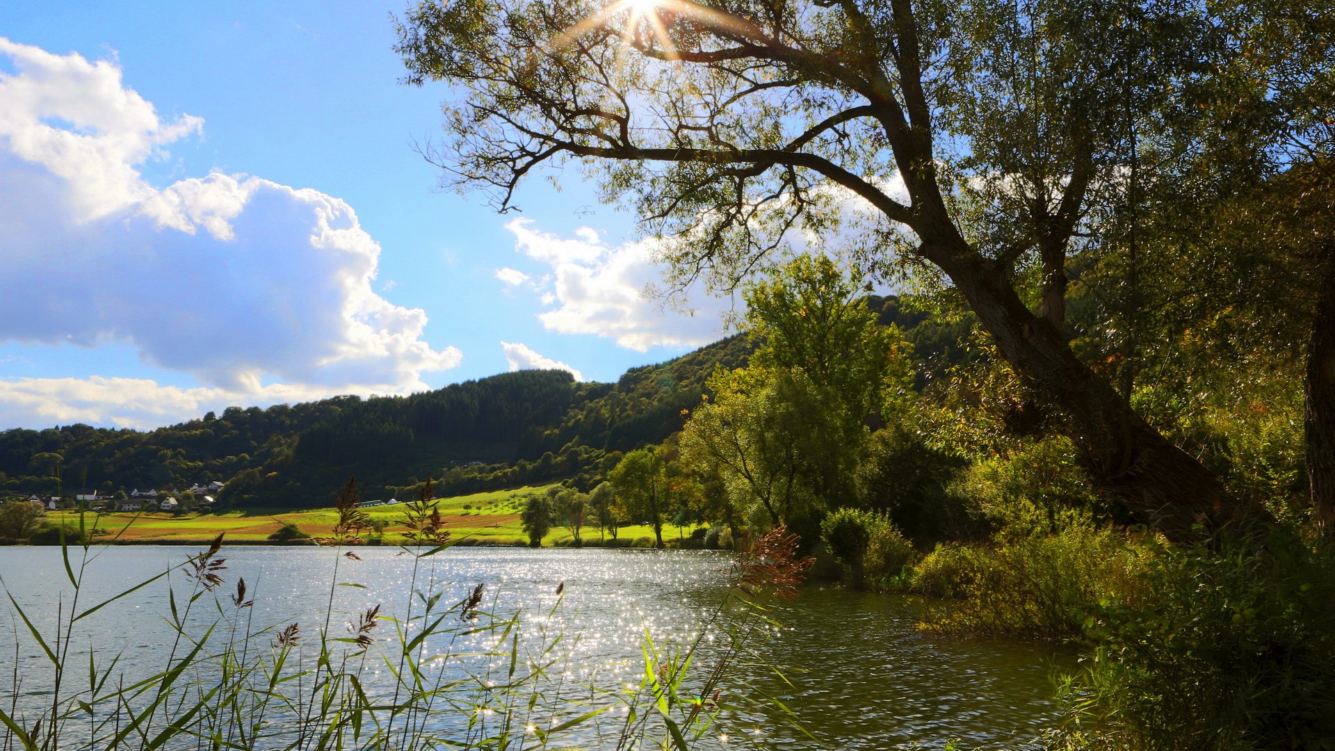 Sunny lake with trees and hills HD Wallpaper