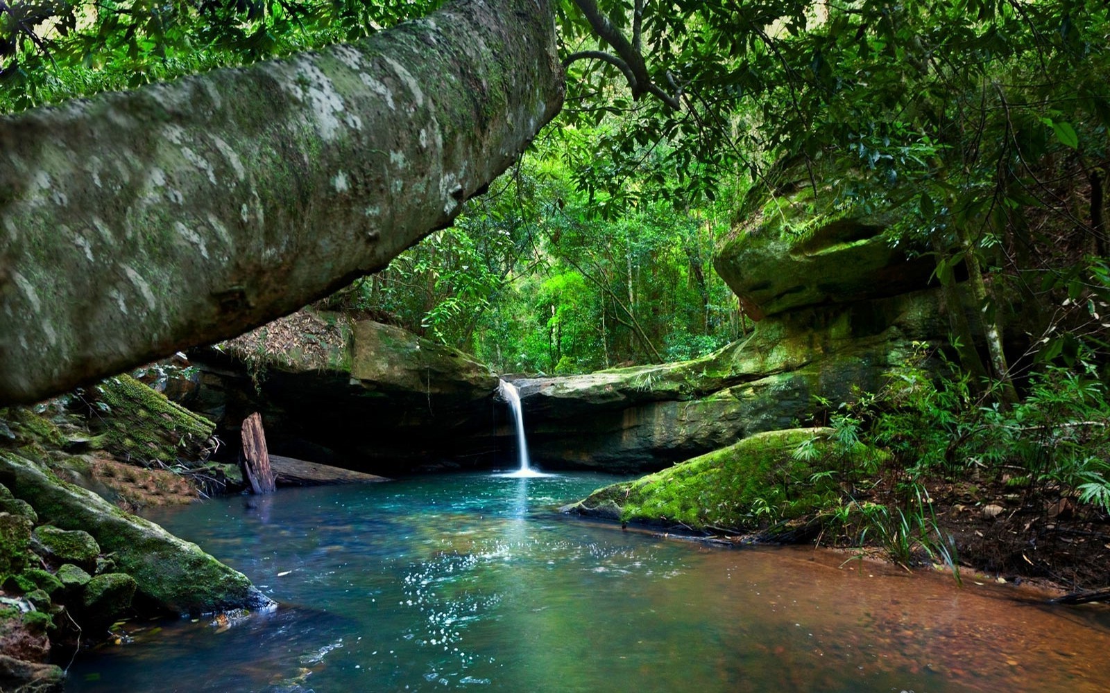 Serene Waterfall in Lush Green Forest HD Wallpaper