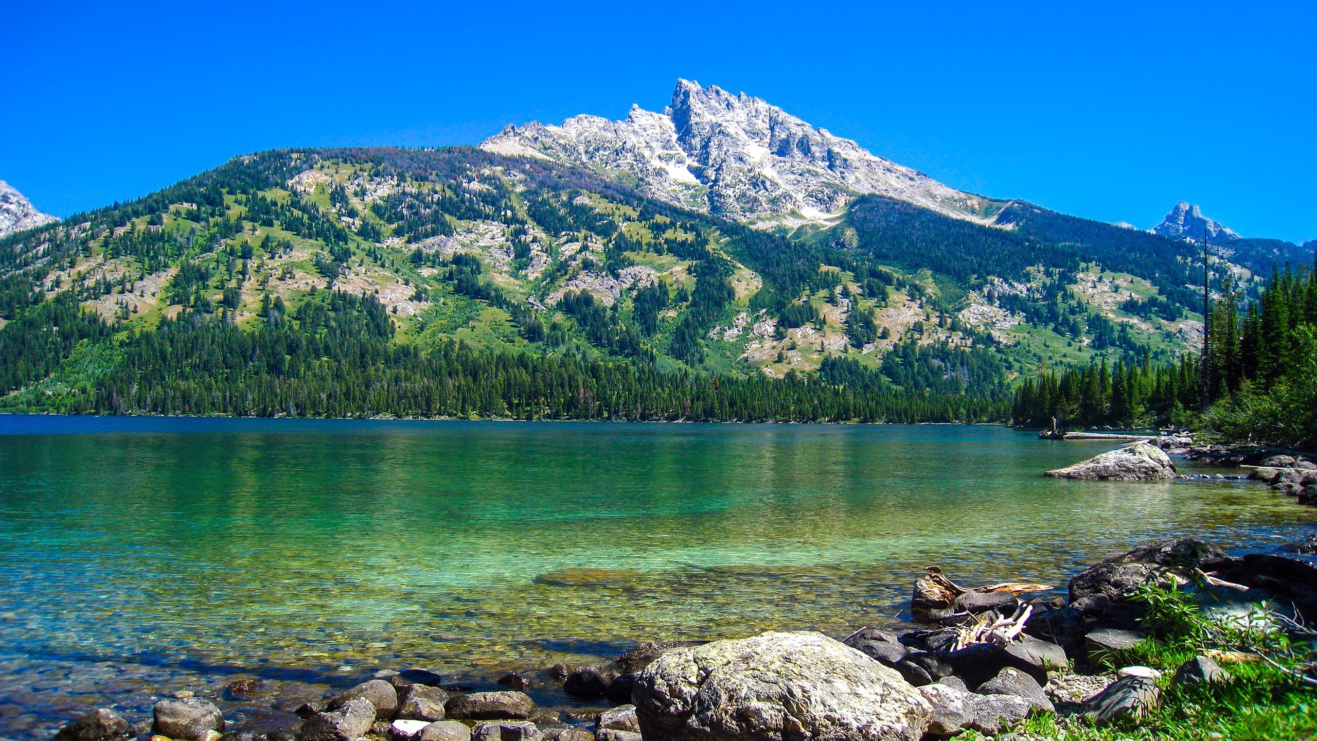 Mountain Lake with Pine Forest and Clear Sky HD Wallpaper