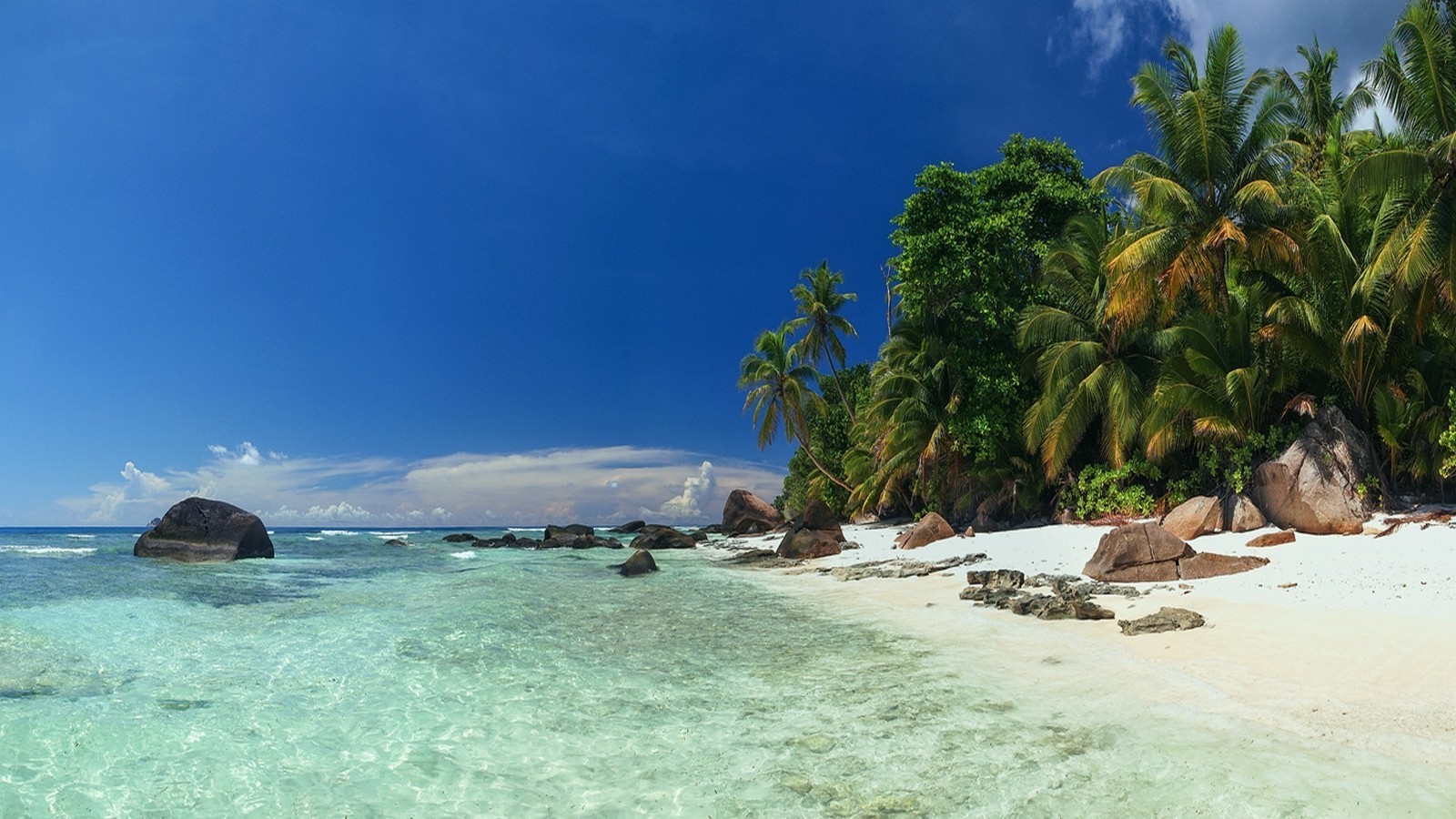 Tropical island beach with palm trees and clear turquoise water HD Wallpaper