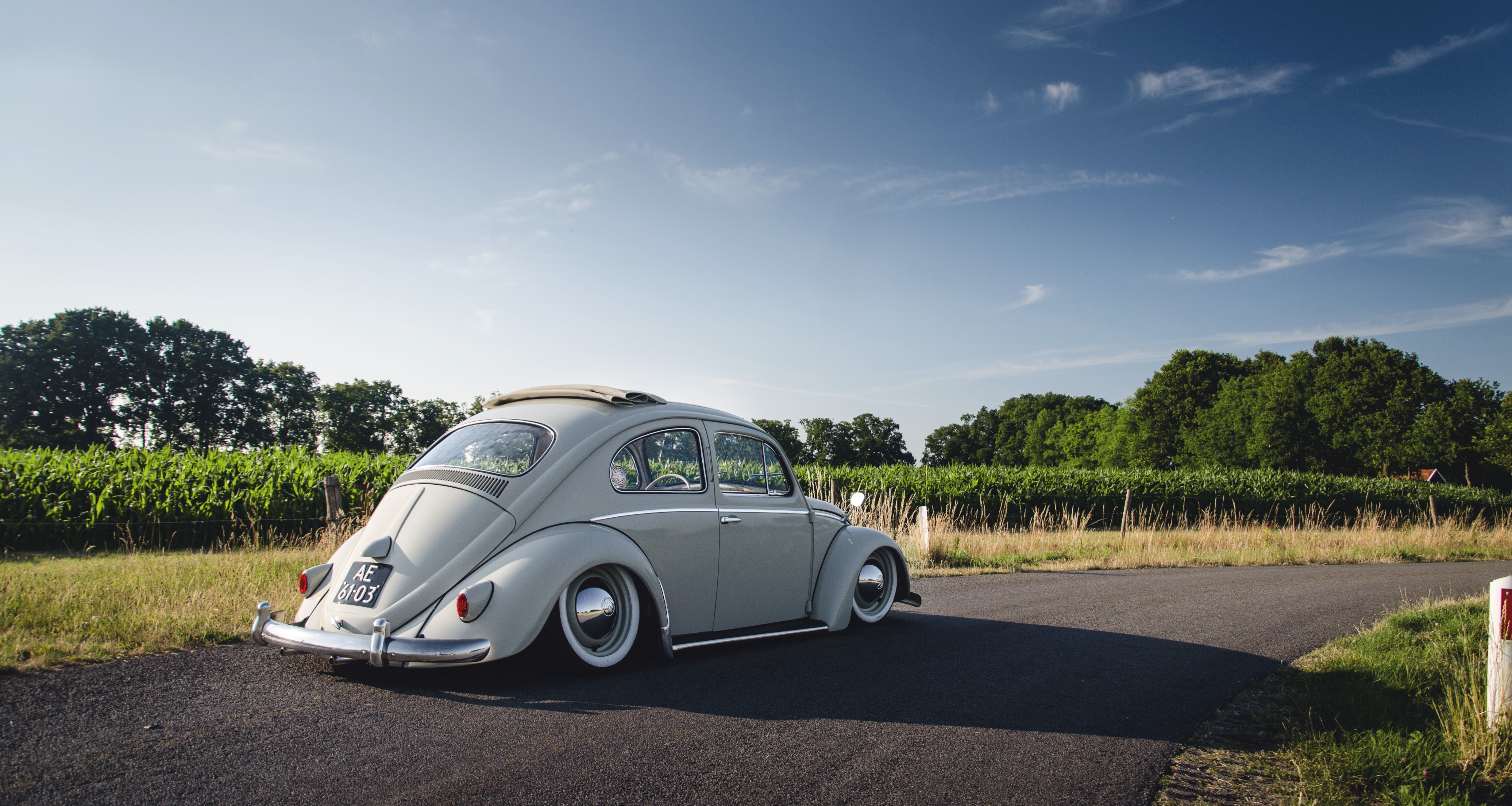 Volkswagen Beetle parked on a road with vineyards HD Wallpaper