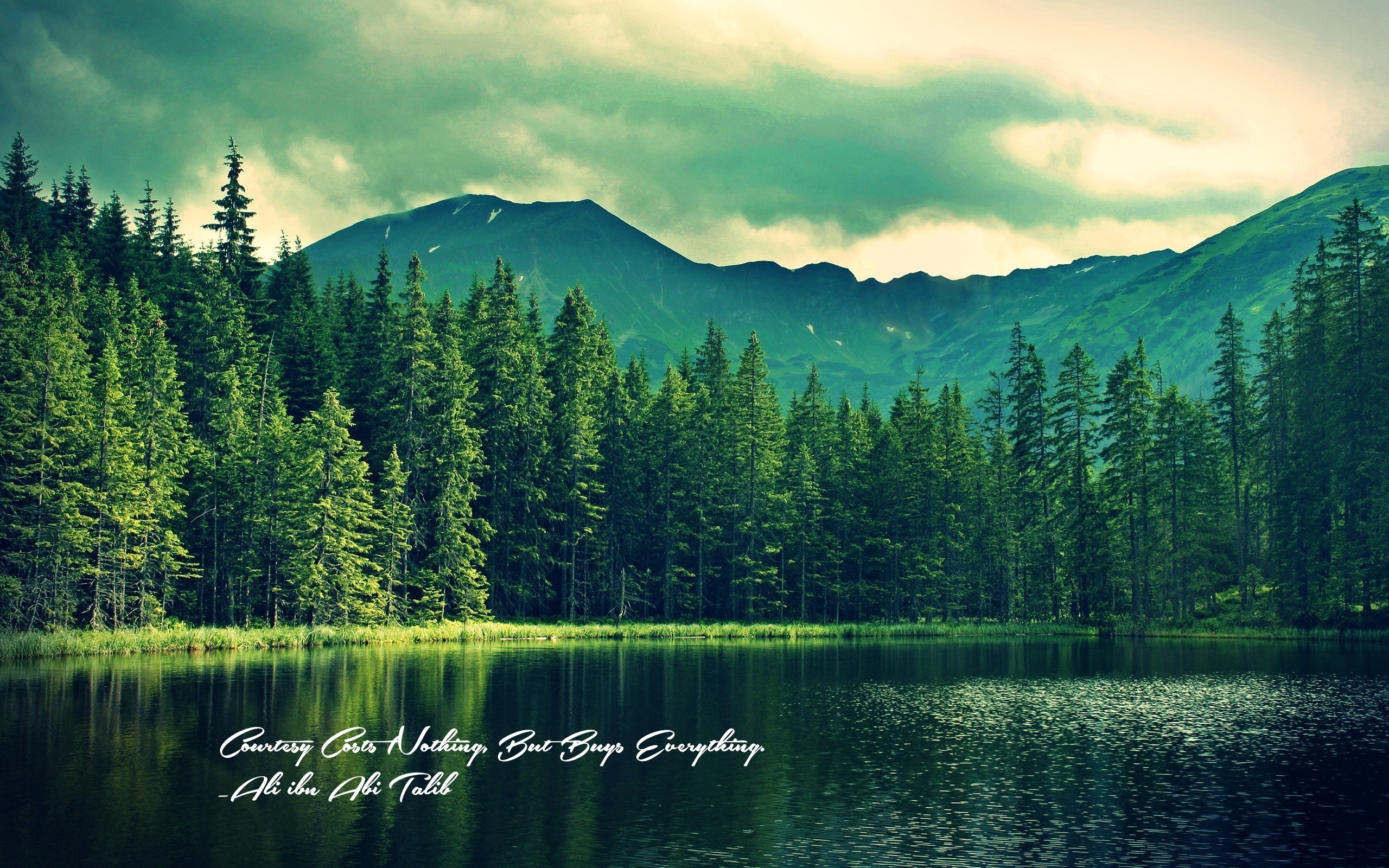 Quote by Ali ibn Abi Talib over a lake and forest HD Wallpaper