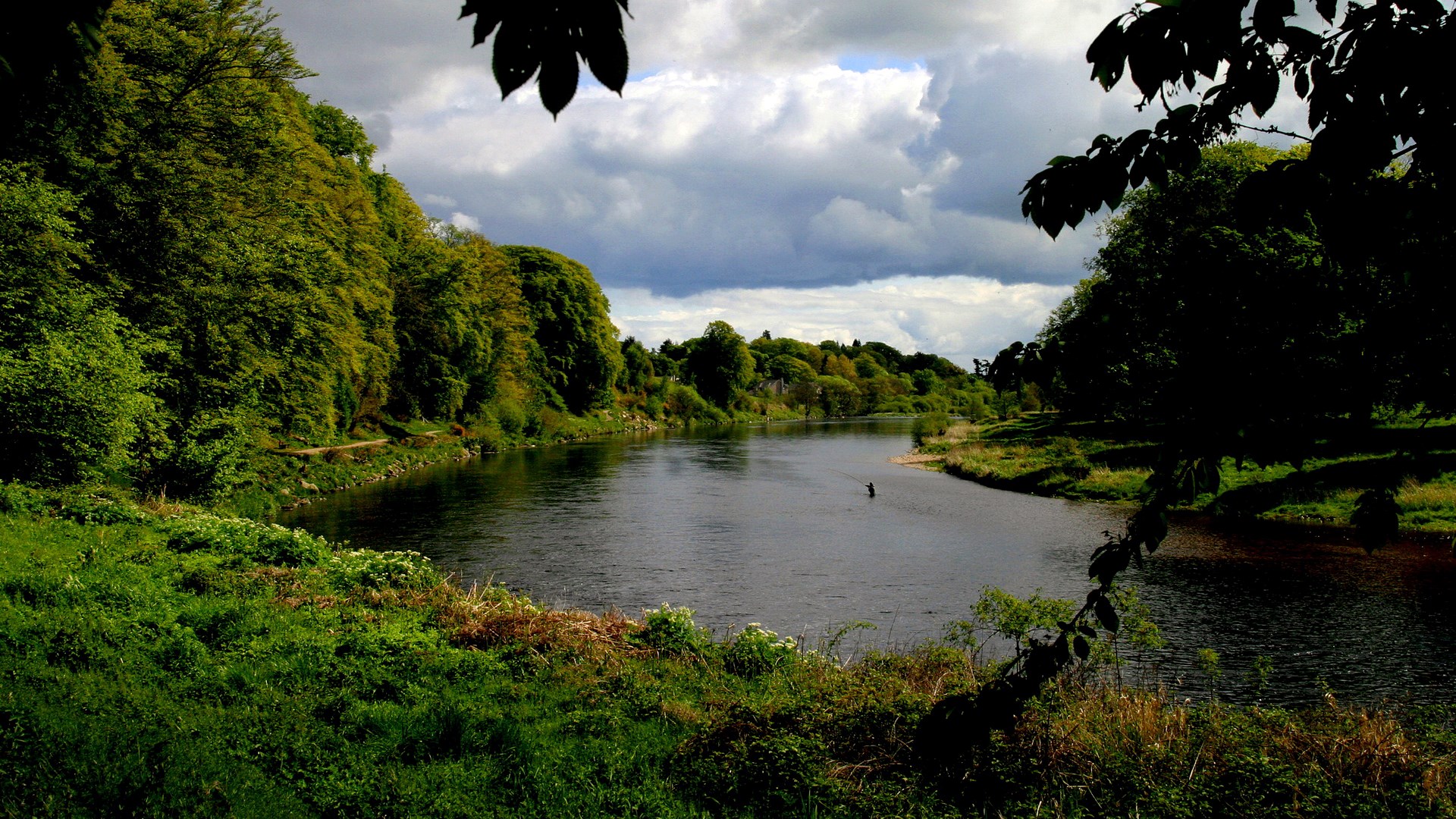 A person fishing in a wide river surrounded by trees HD Wallpaper