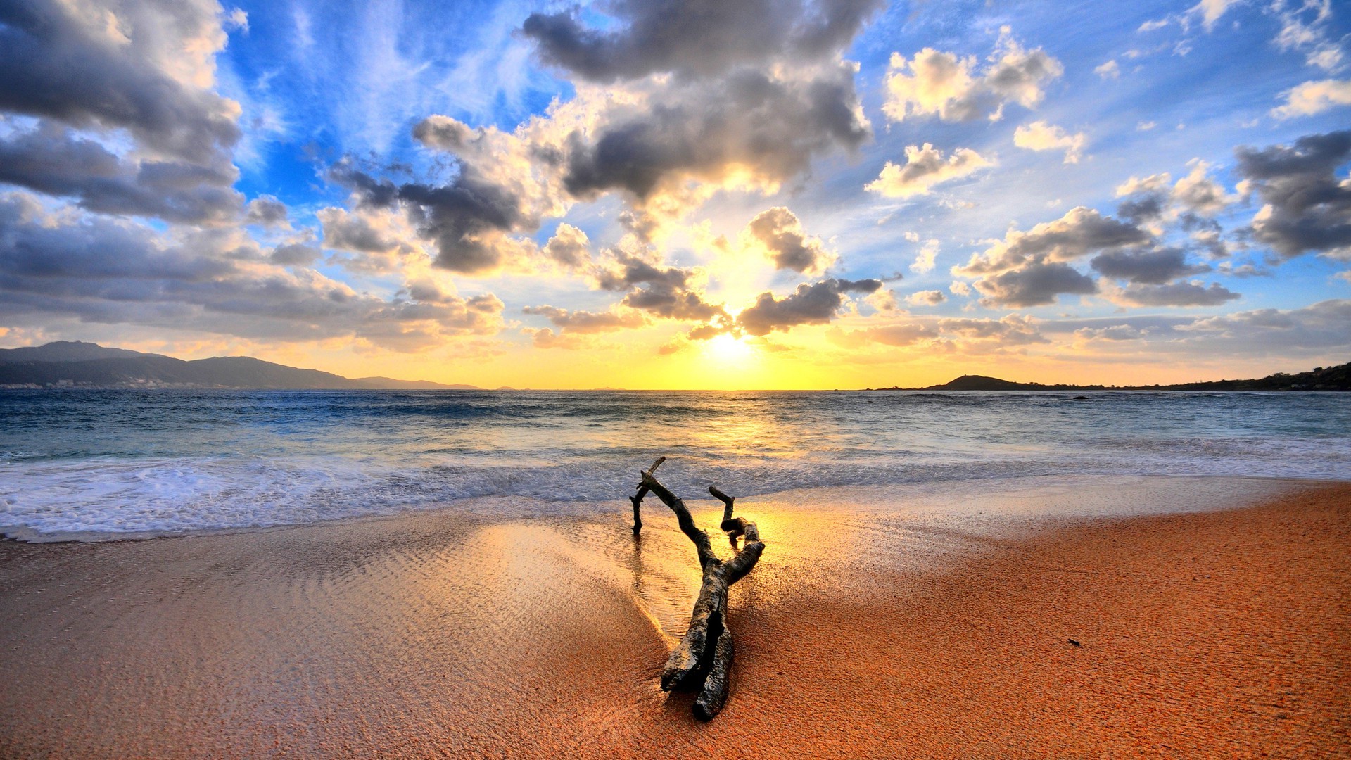 Sunset over a beach with driftwood HD Wallpaper