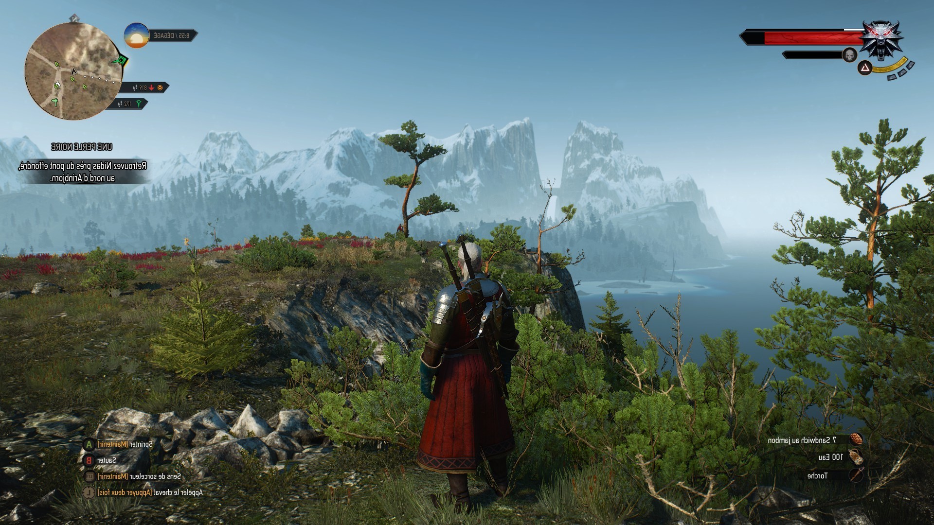 Geralt of Rivia from The Witcher 3: Wild Hunt overlooking mountains HD Wallpaper