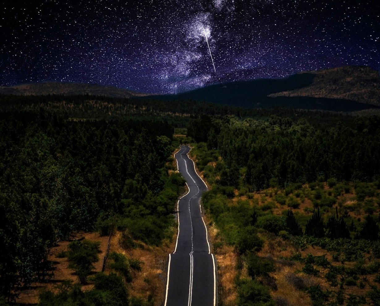 Road through forest under starry night sky with Milky Way HD Wallpaper