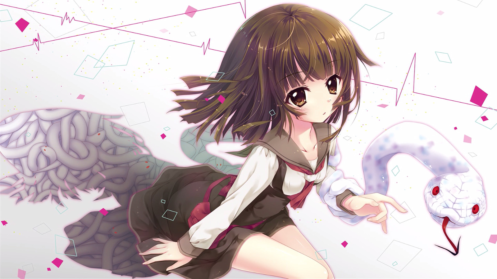 Sengoku Nadeko from Monogatari Series with snakes HD Wallpaper