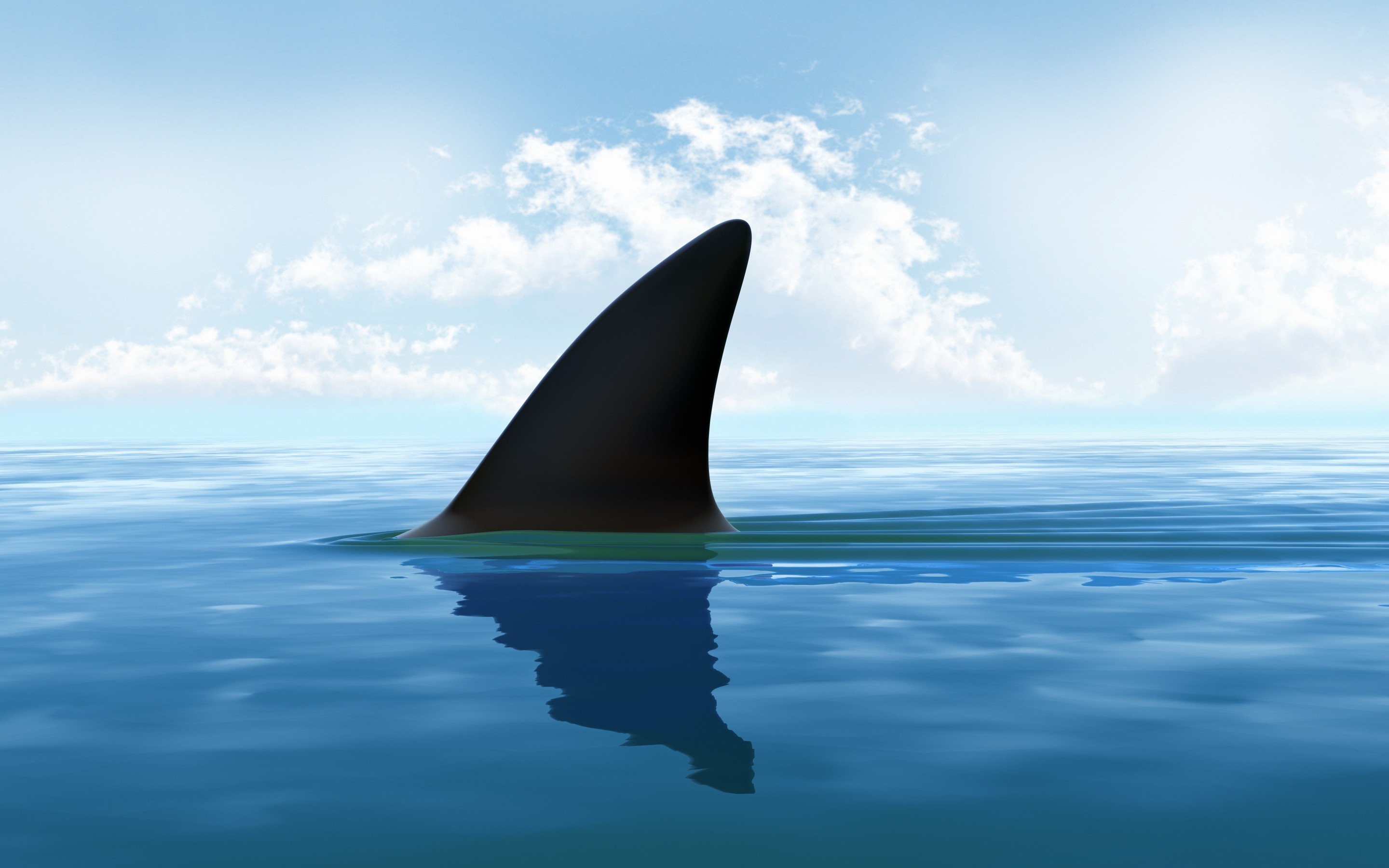 Shark fin in the ocean under clouds HD Wallpaper