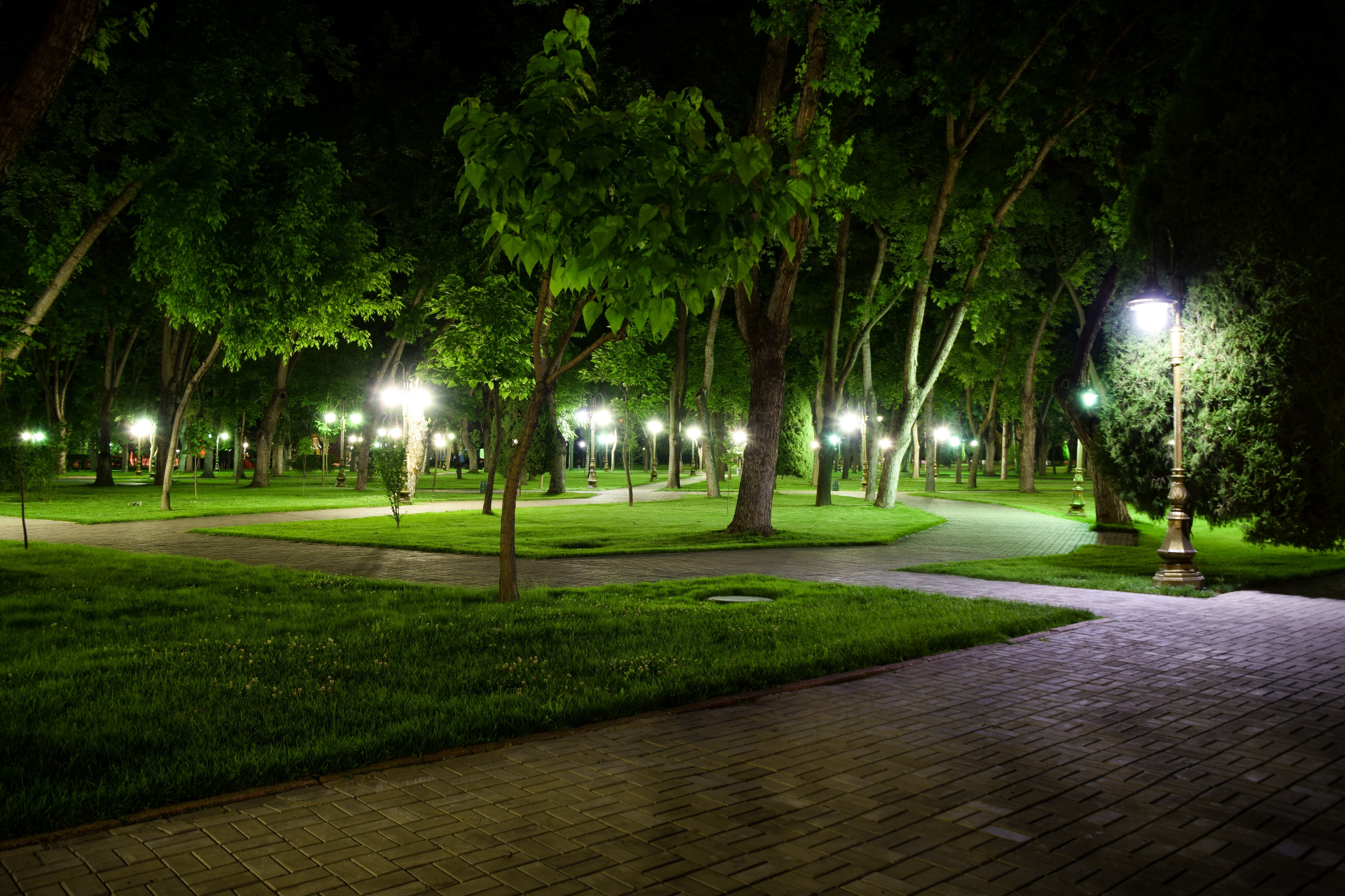Night View of Illuminated Park in Uzbekistan HD Wallpaper
