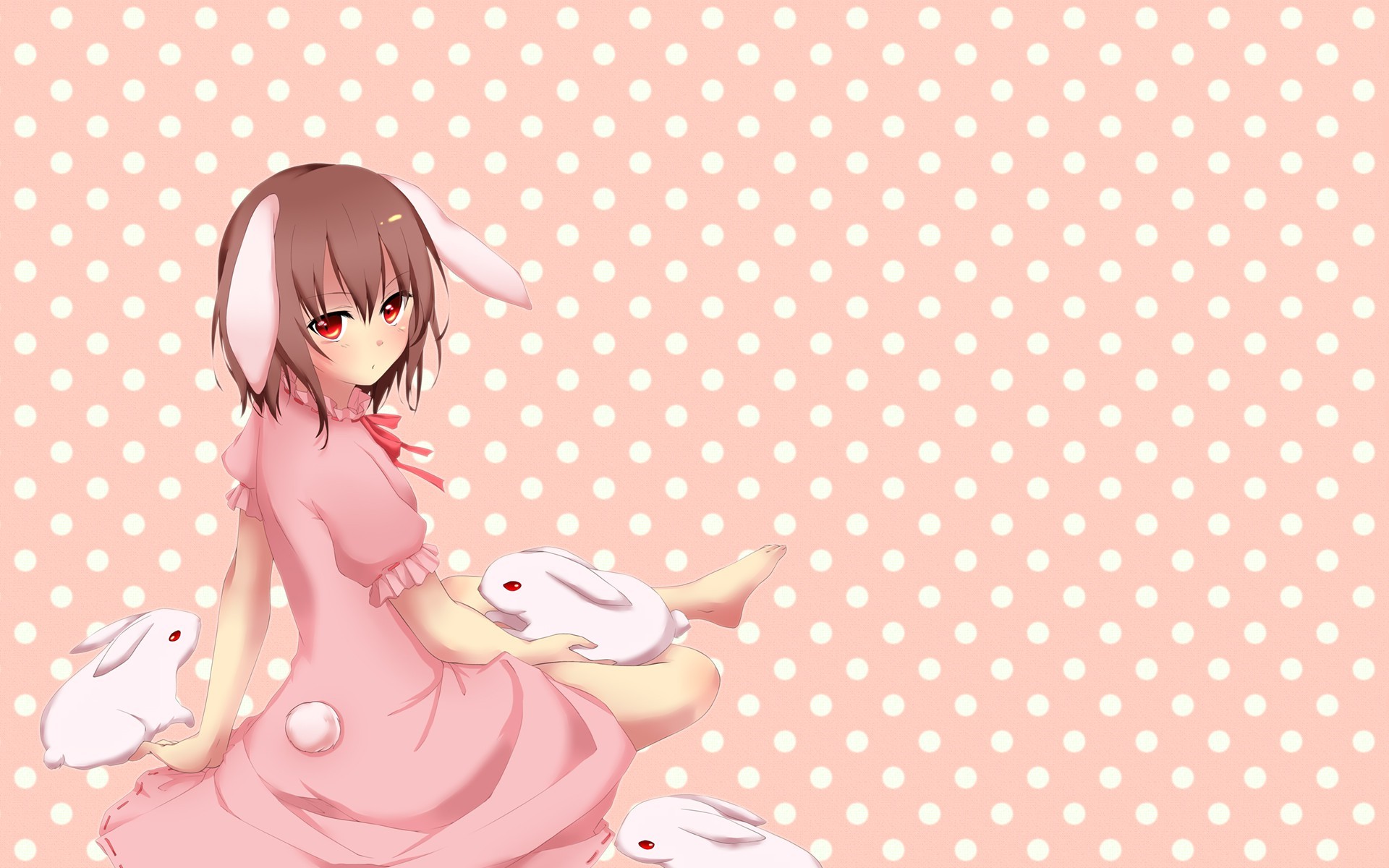 Anime girl with bunny ears and rabbits HD Wallpaper
