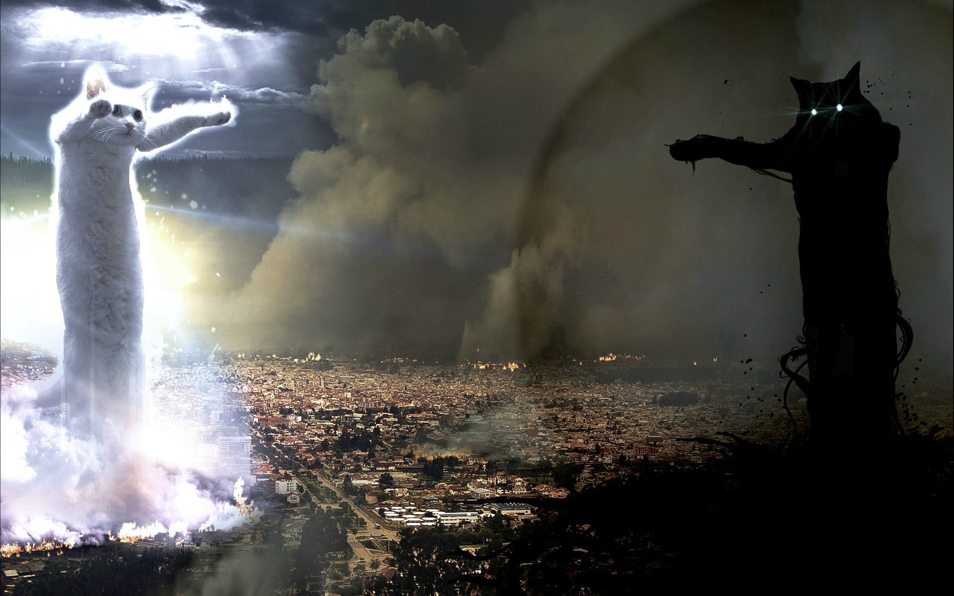Giant white and black cats over a city HD Wallpaper