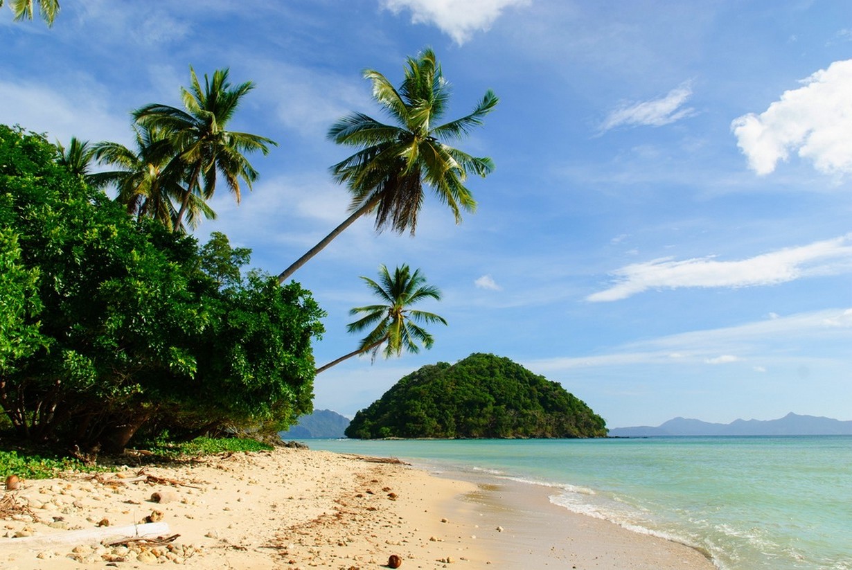 Tropical beach with palm trees and island HD Wallpaper