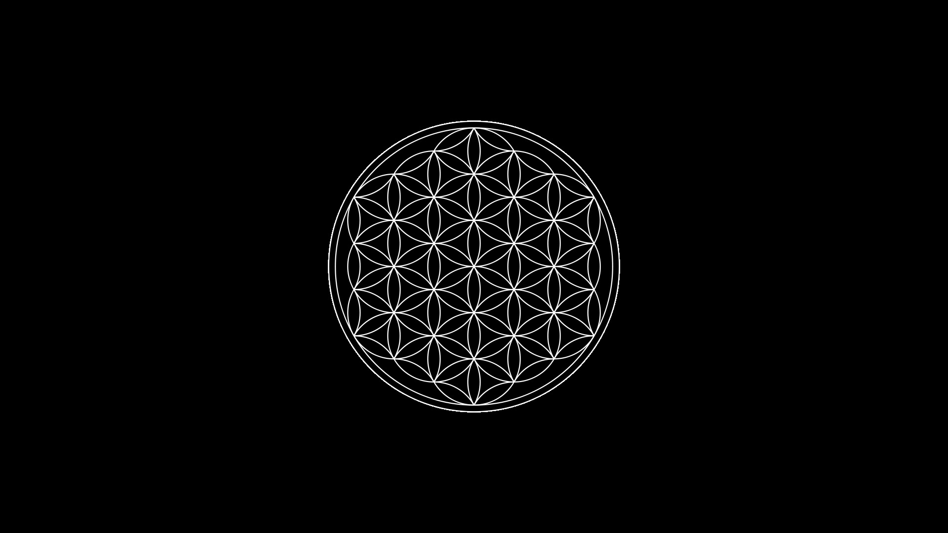 Flower of Life sacred geometry symbol HD Wallpaper