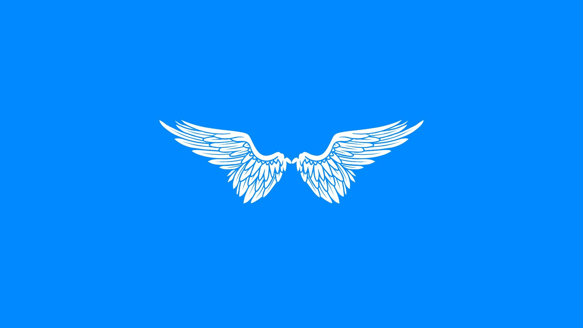 White wings on a blue background HD Wallpaper