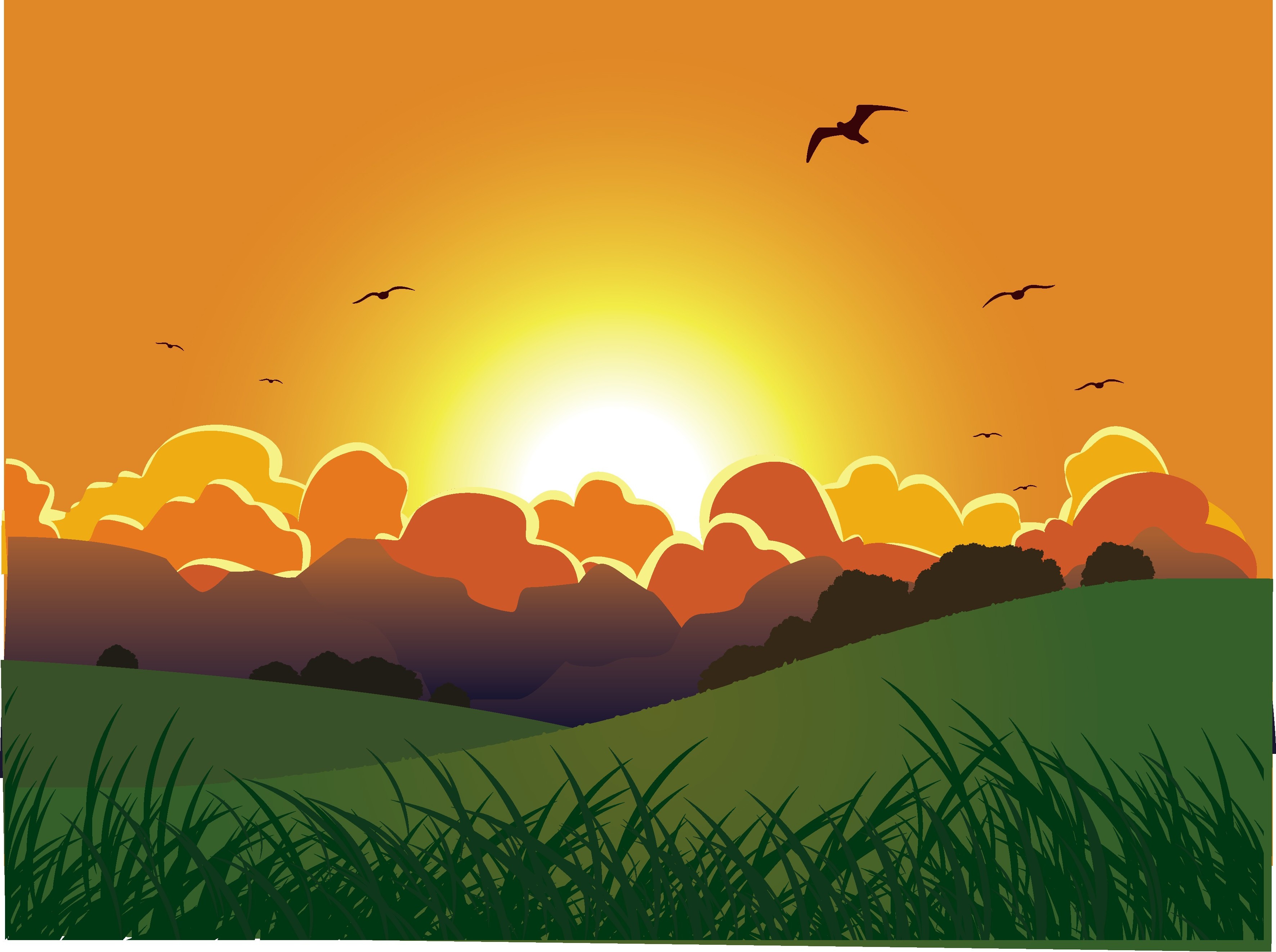 Sunset over rolling hills with birds flying HD Wallpaper