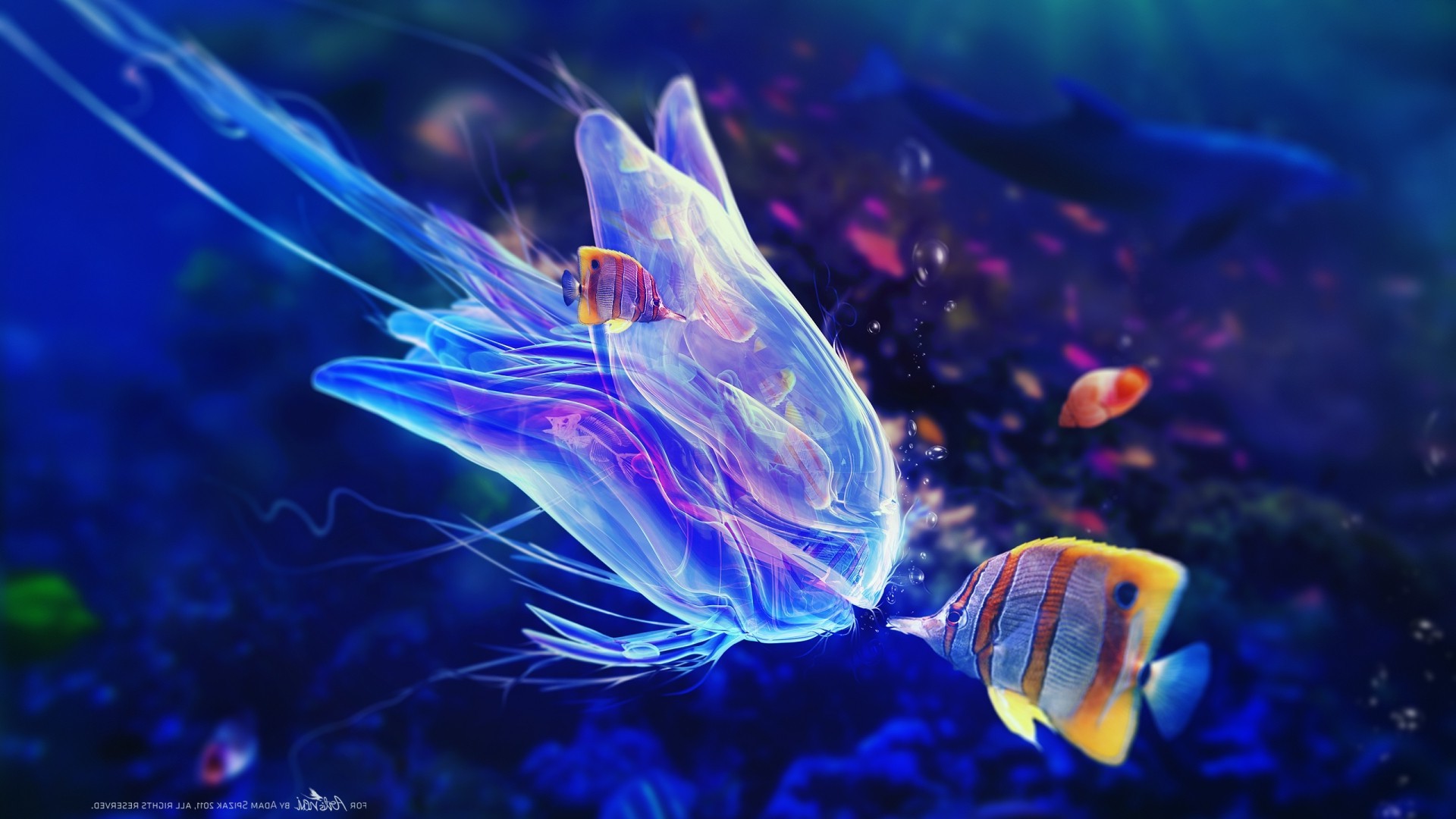 Fantasy art of a jellyfish and fish underwater HD Wallpaper