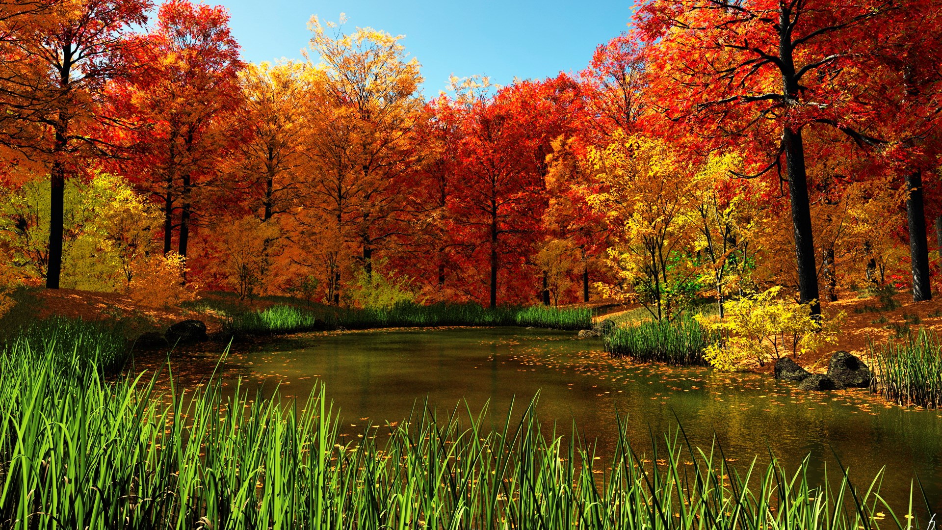 Autumn forest with a pond and tall grass HD Wallpaper
