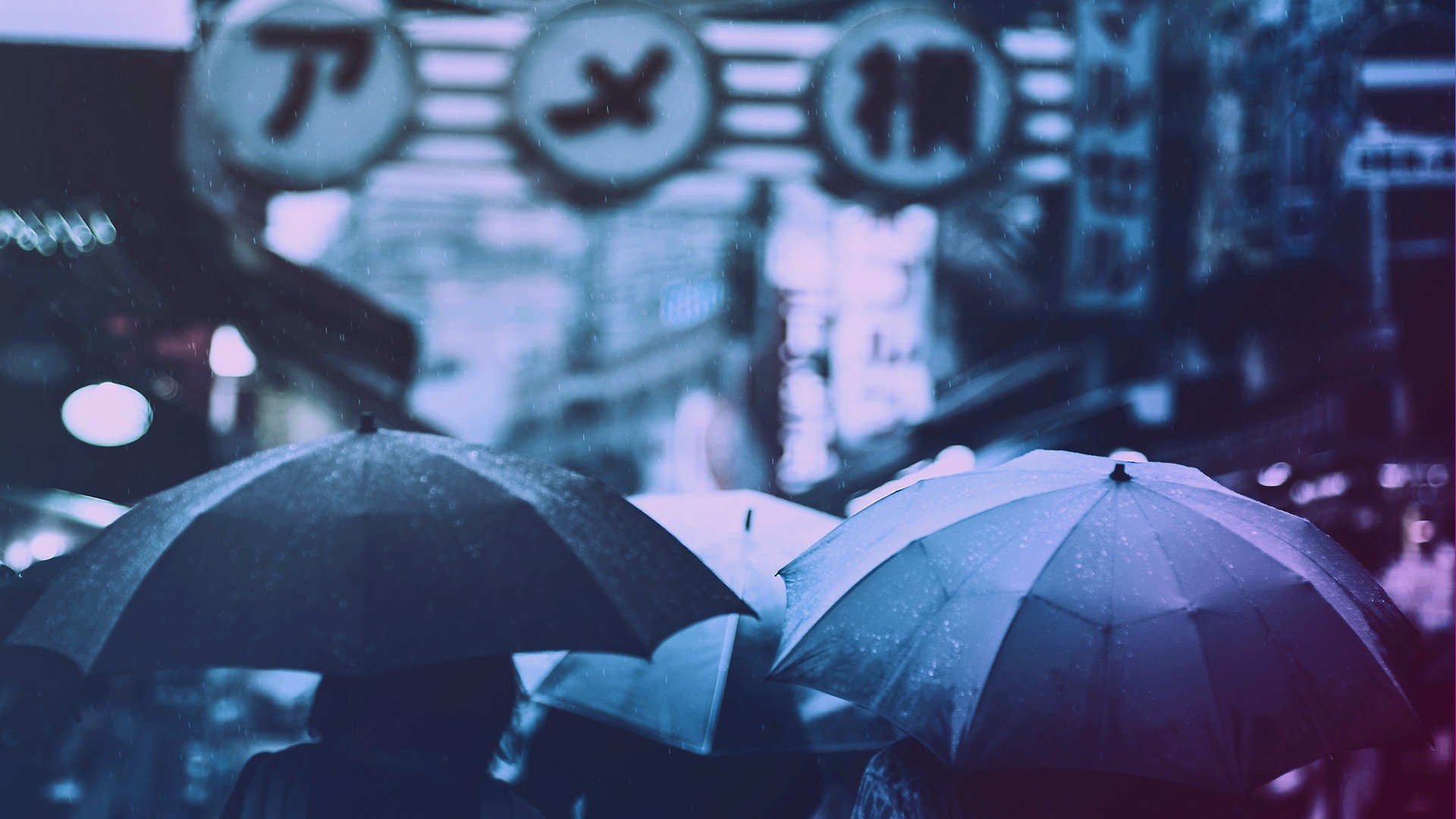 People with umbrellas in the rain at night HD Wallpaper