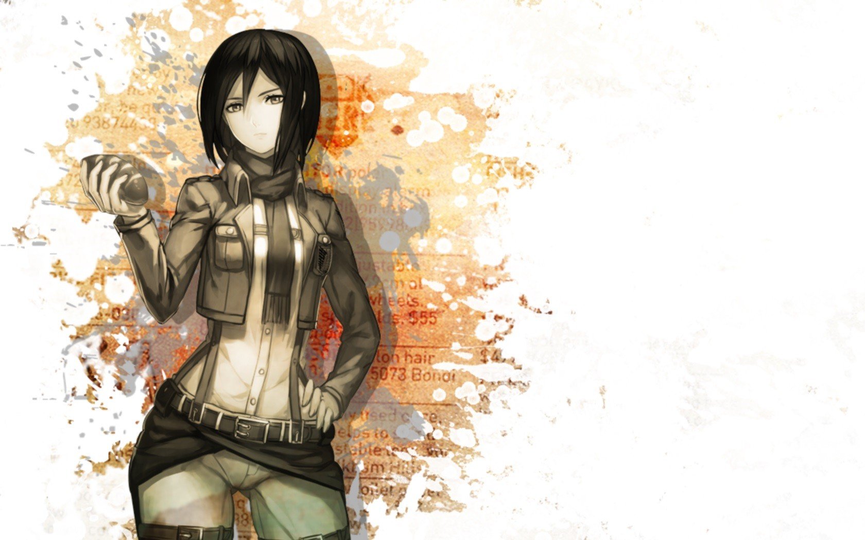 Mikasa Ackerman from Shingeki no Kyojin HD Wallpaper