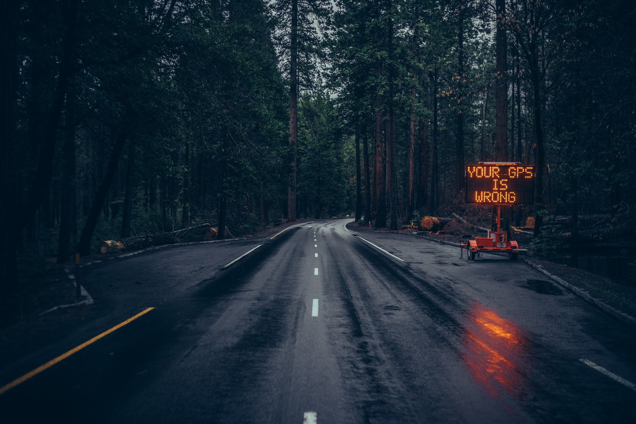 Road sign in a dark forest HD Wallpaper