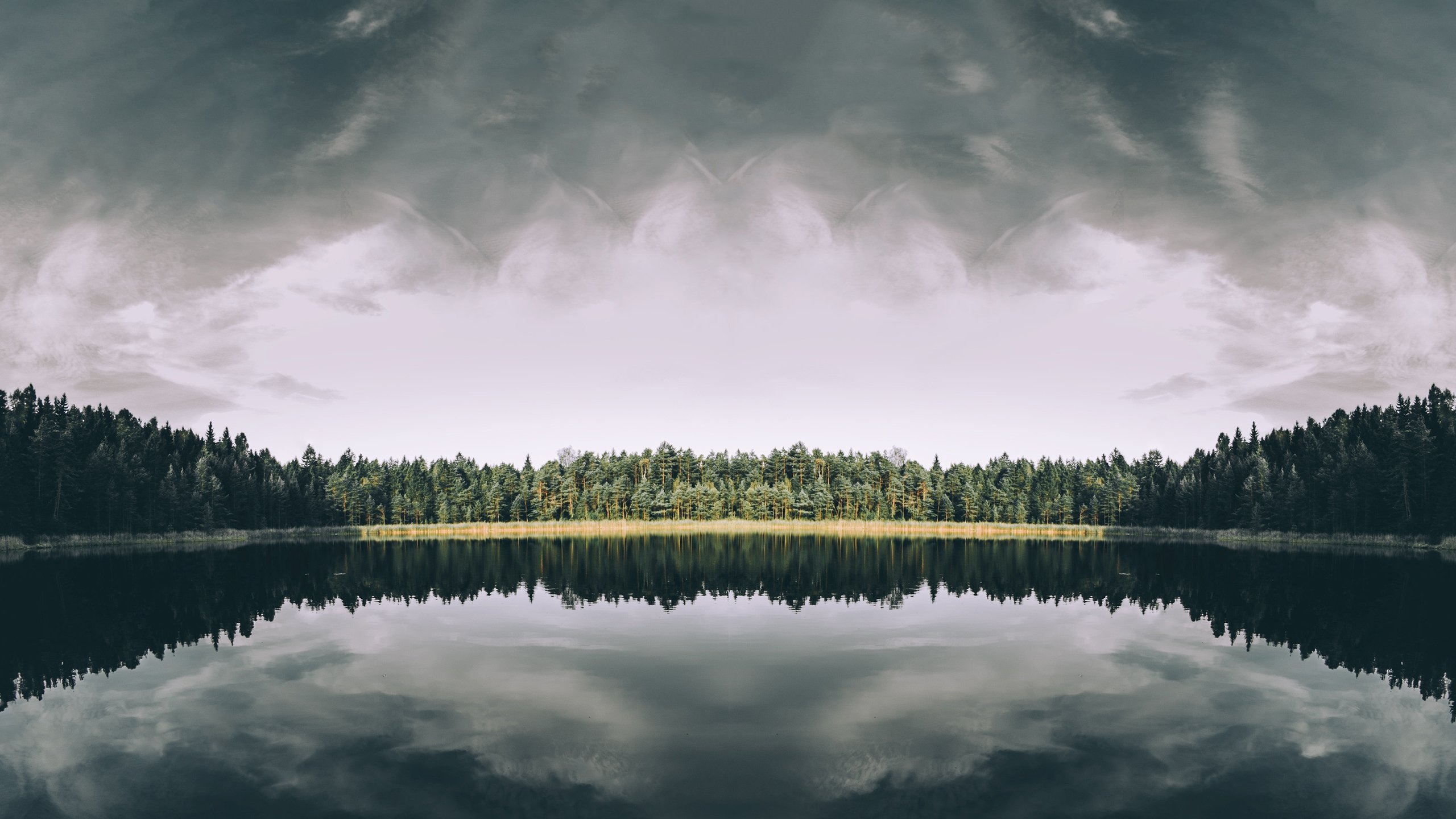Symmetrical forest reflected in a lake under a cloudy sky HD Wallpaper