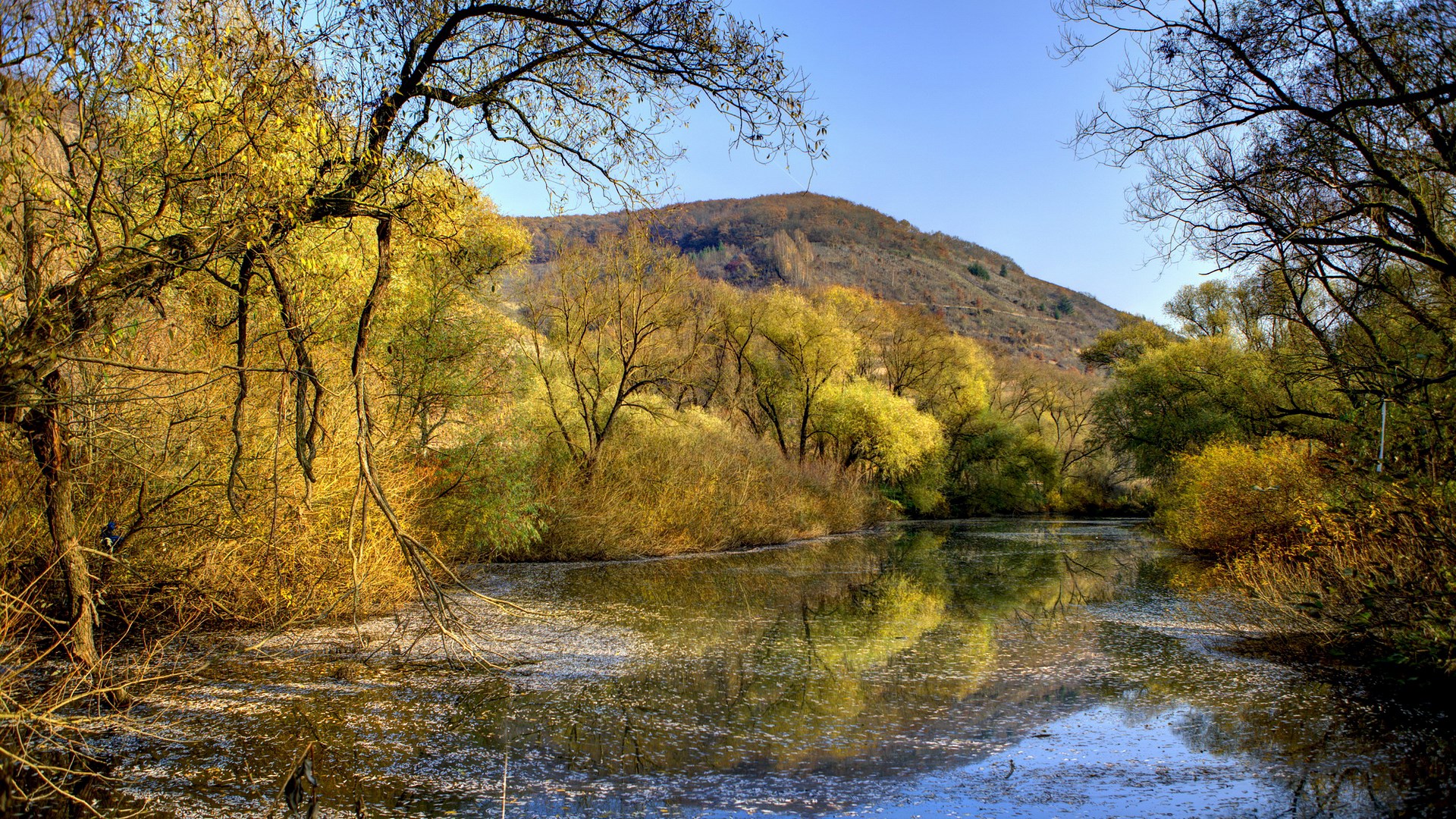 Autumn trees reflected in a calm lake HD Wallpaper