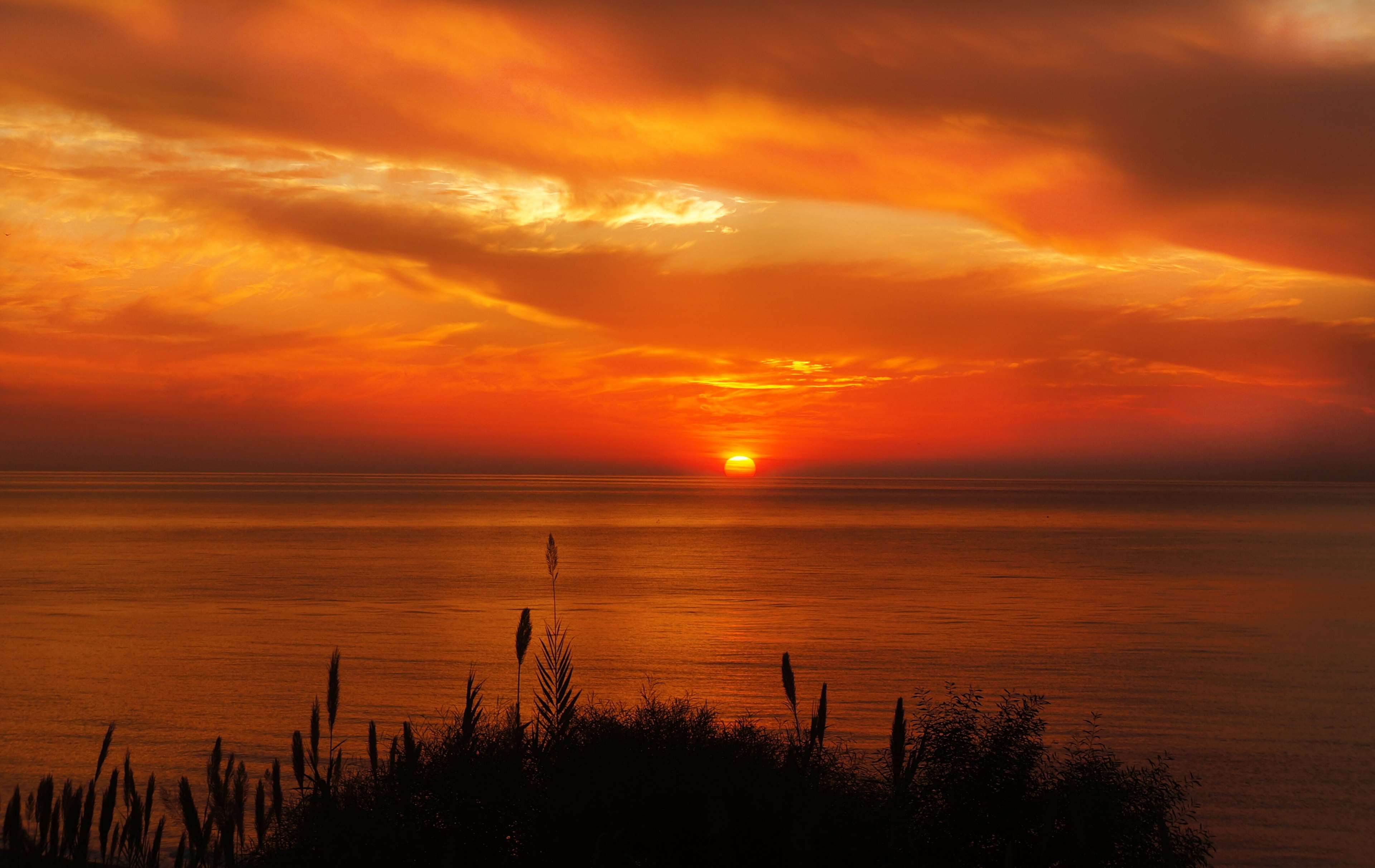 Sunset over the ocean with clouds and reeds HD Wallpaper