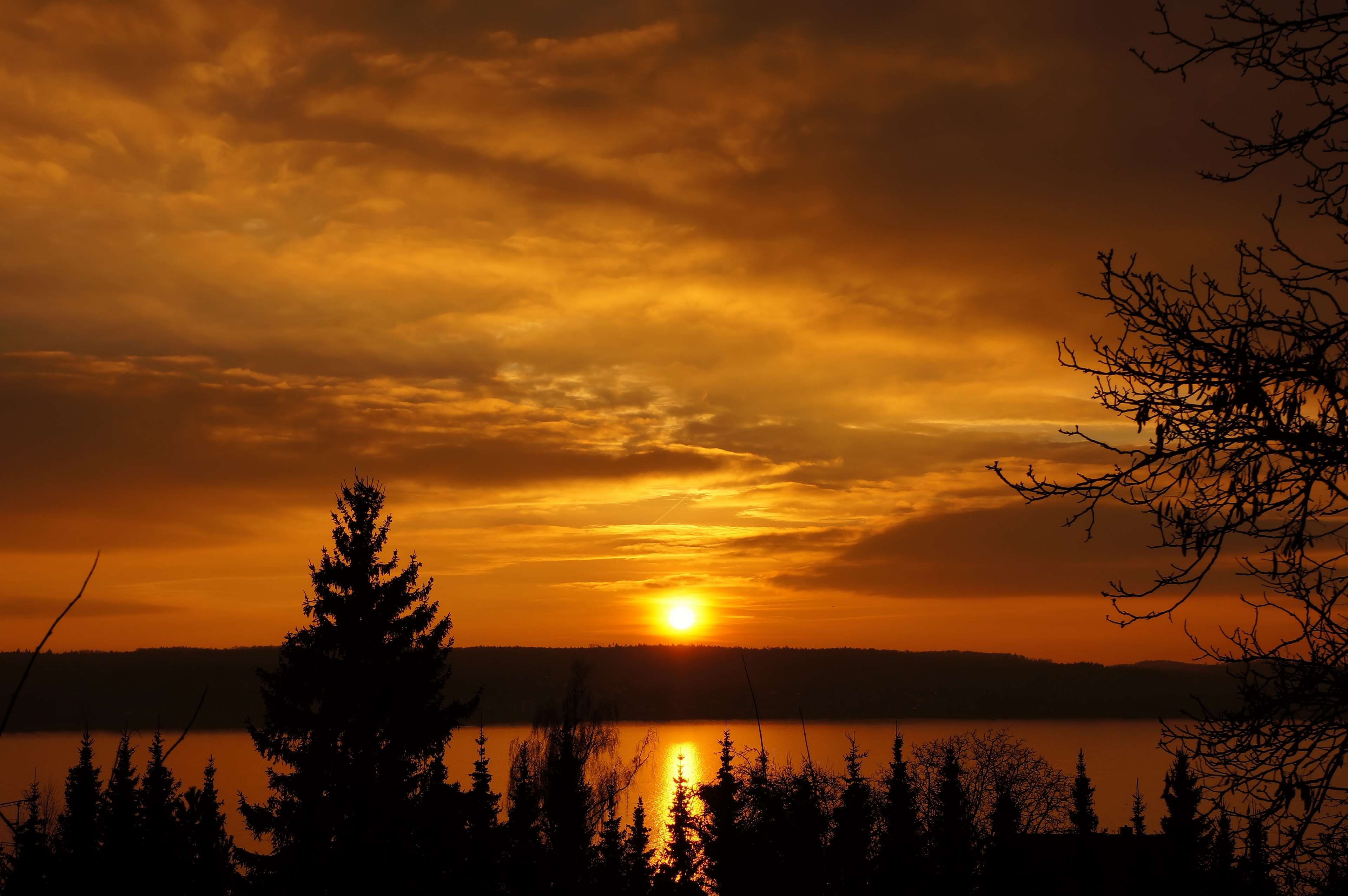 Sunset over a lake with pine trees and branches HD Wallpaper