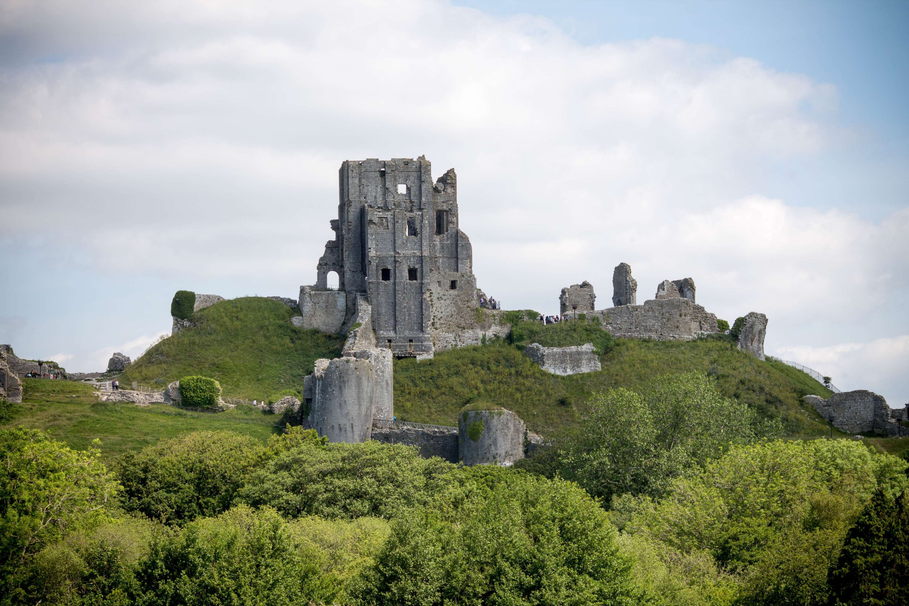 Corfe Castle ruins on a grassy hill HD Wallpaper