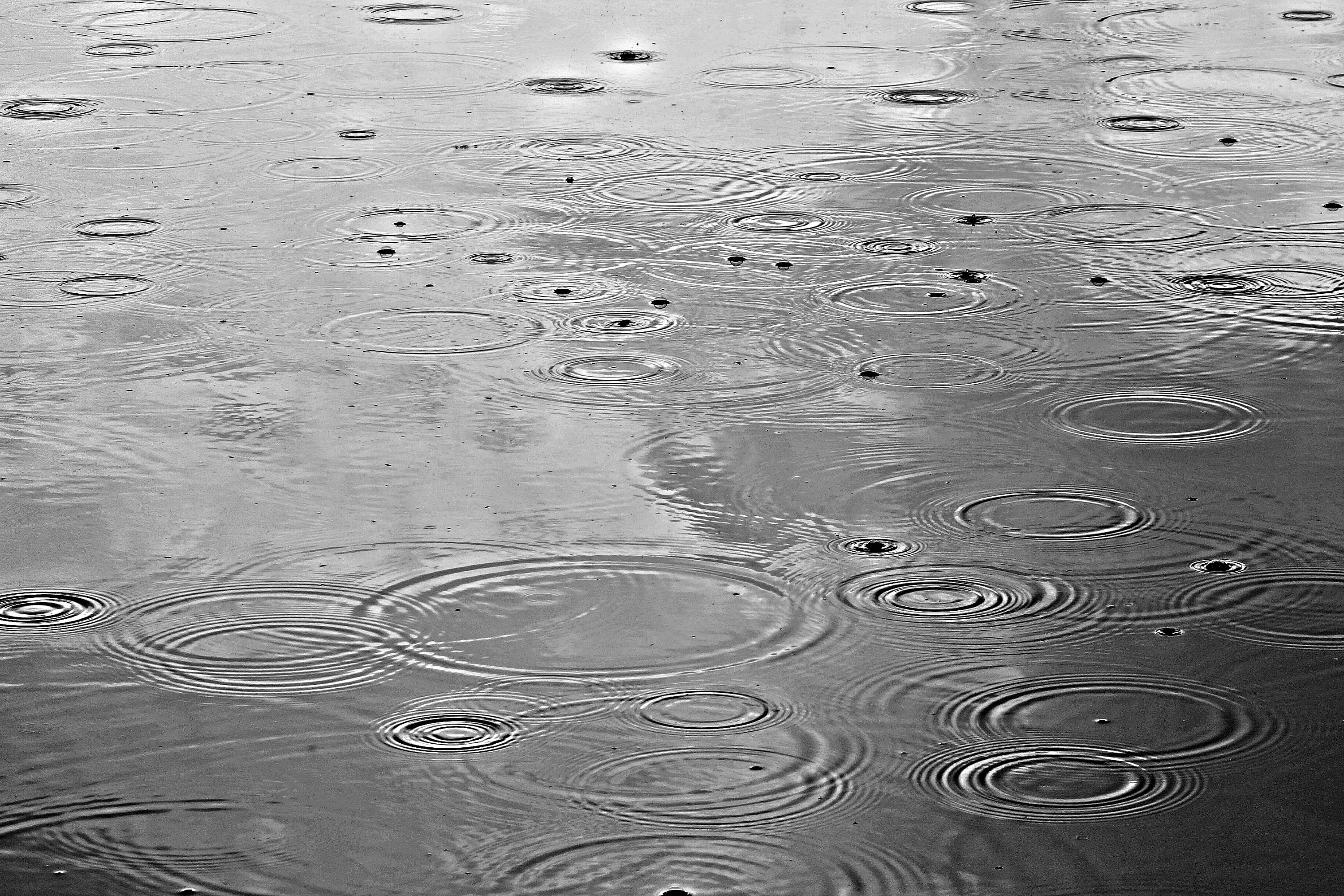 Raindrops creating ripples on the surface of water HD Wallpaper