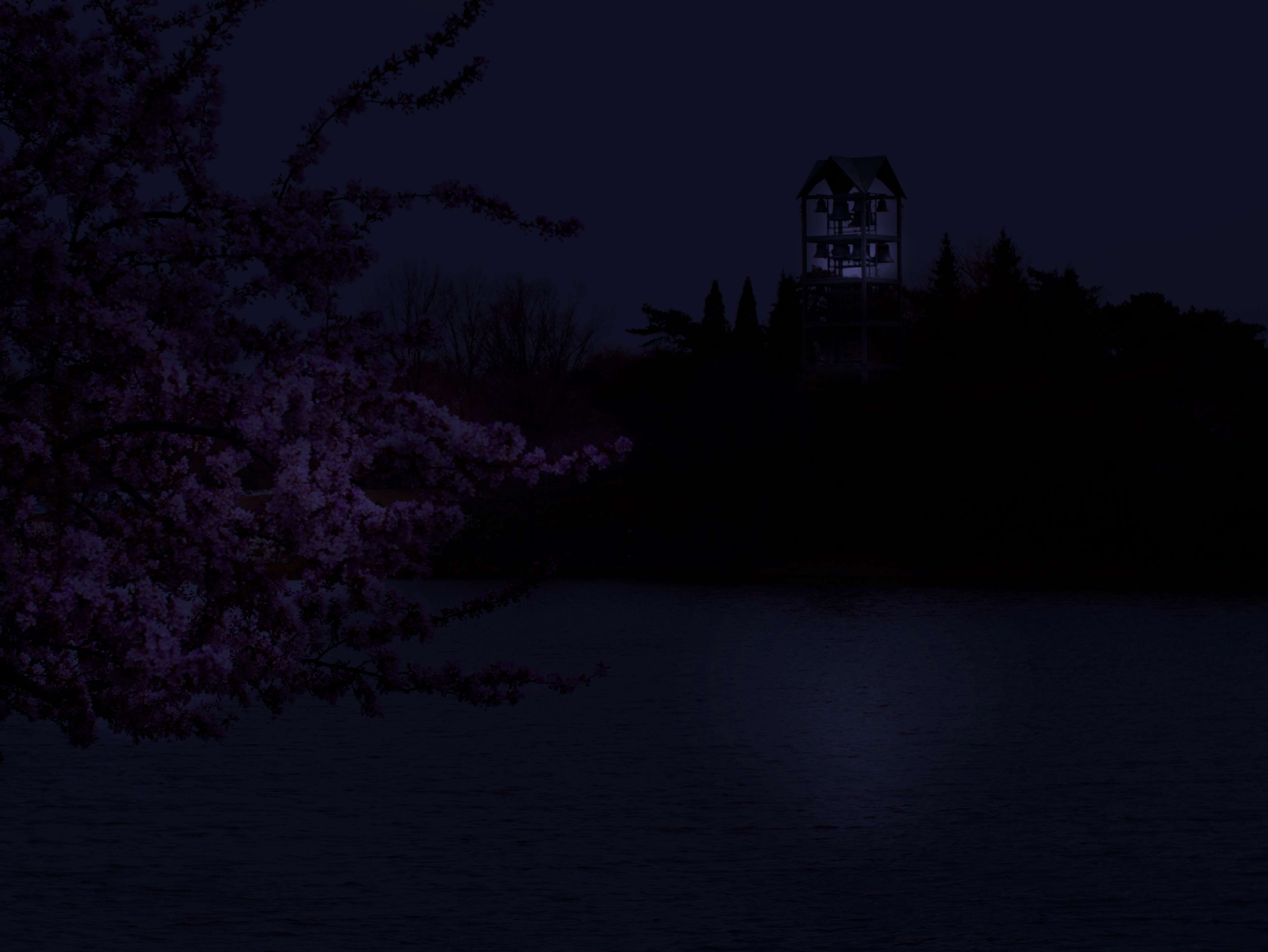 Bell tower on a hill at night HD Wallpaper