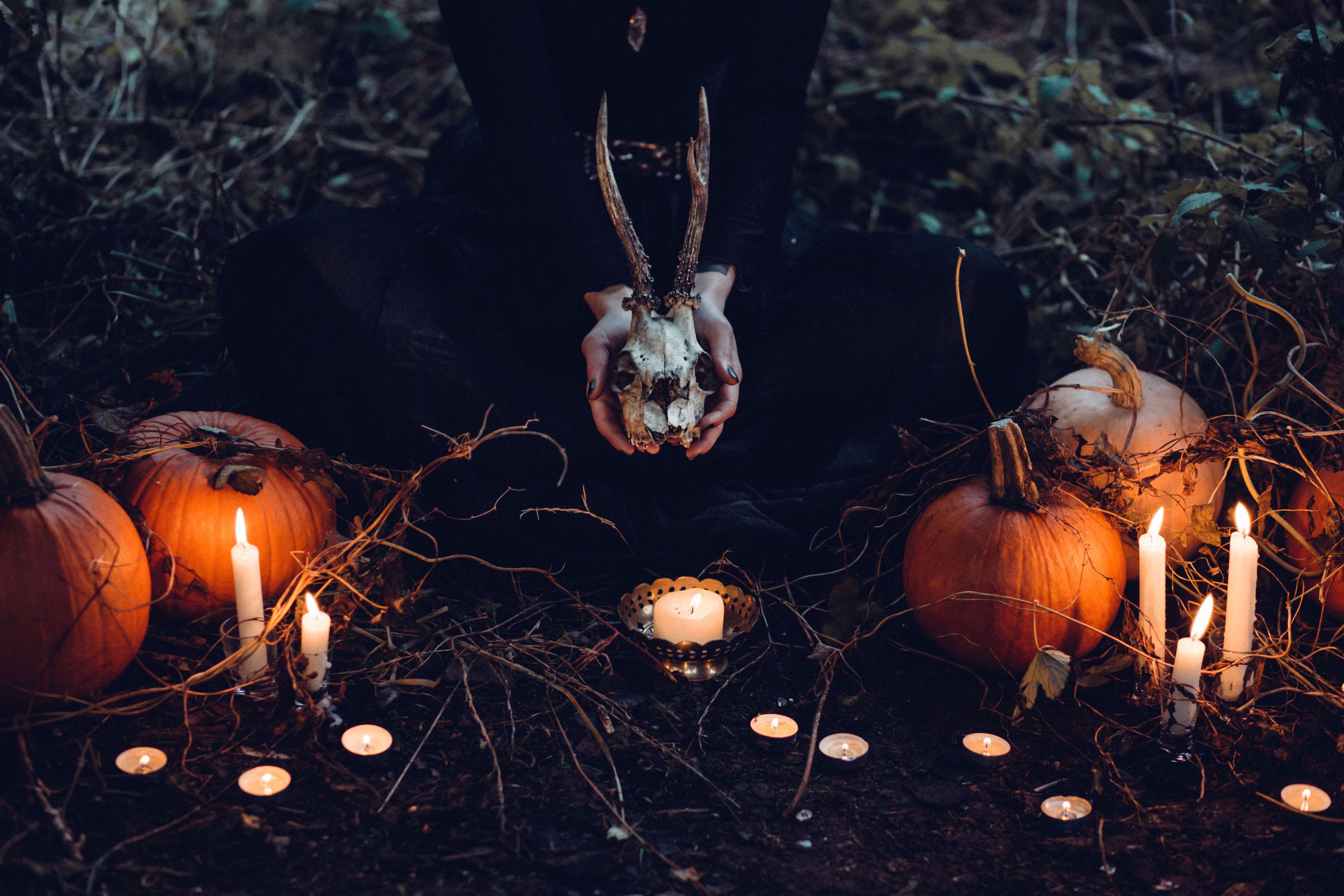 Person holding a skull with pumpkins and candles HD Wallpaper
