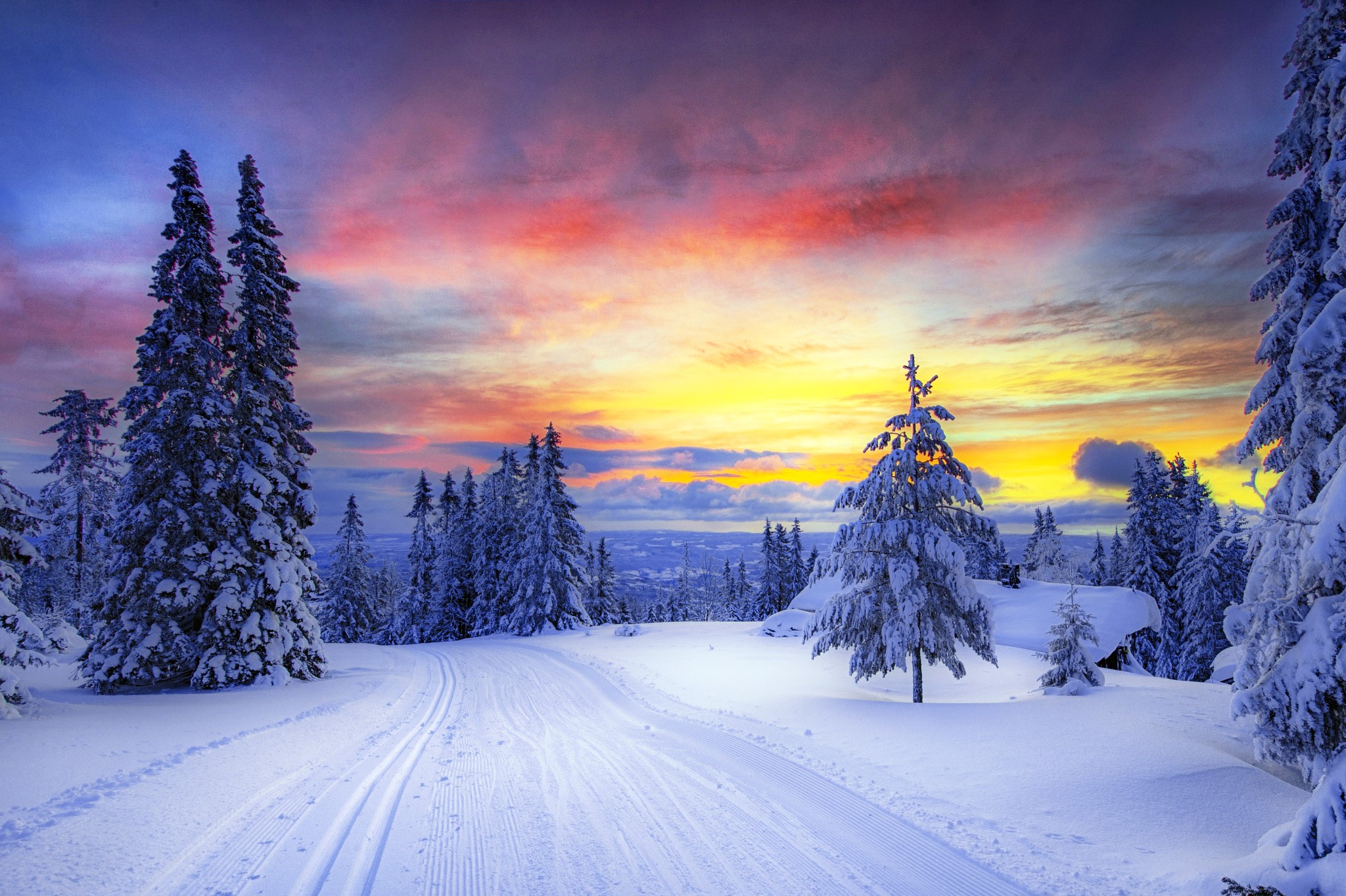 Norway Winter Forest Snowy Landscape at Sunset HD Wallpaper