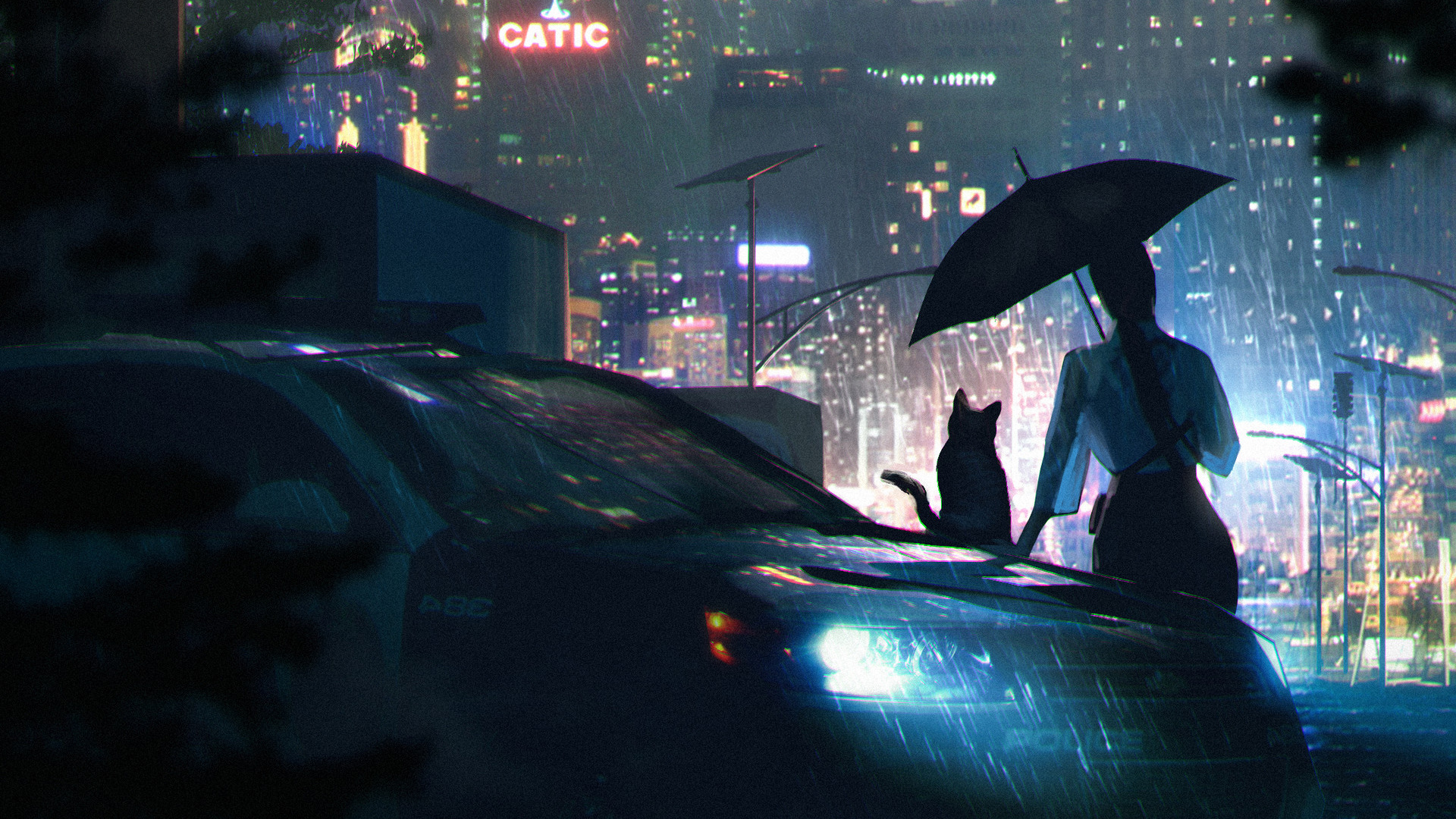 Woman and cat with umbrella in rainy city at night HD Wallpaper