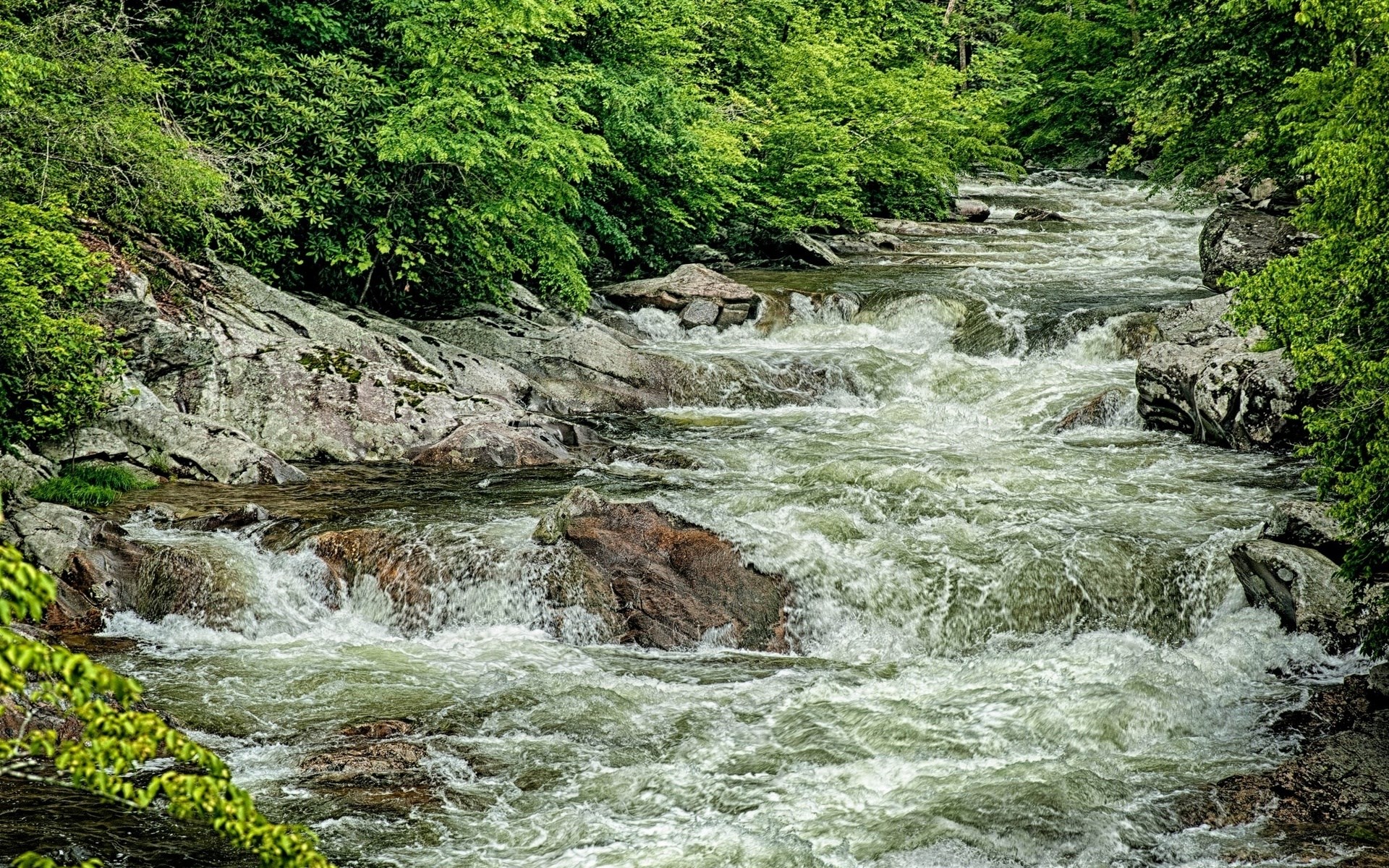 A river flows through a rocky, forested area. HD Wallpaper