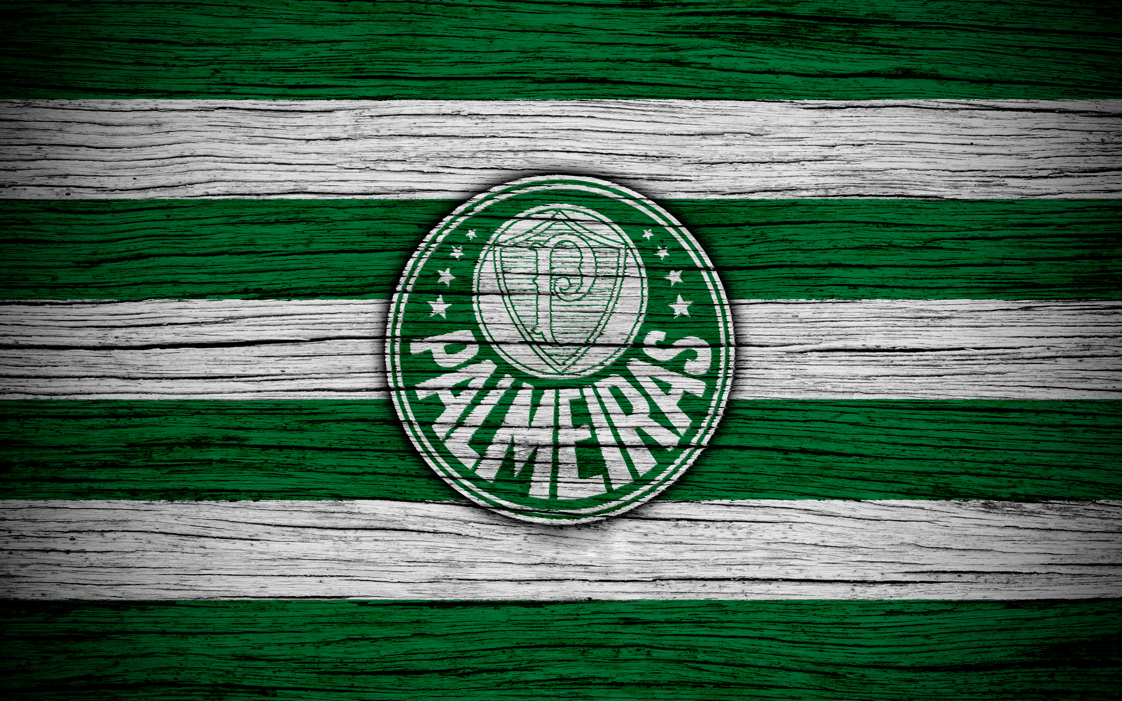 Sociedade Esportiva Palmeiras logo on wood HD Wallpaper