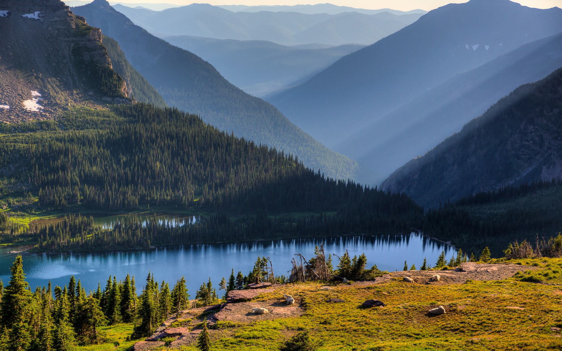 Mountain valley with lake and pine forest HD Wallpaper