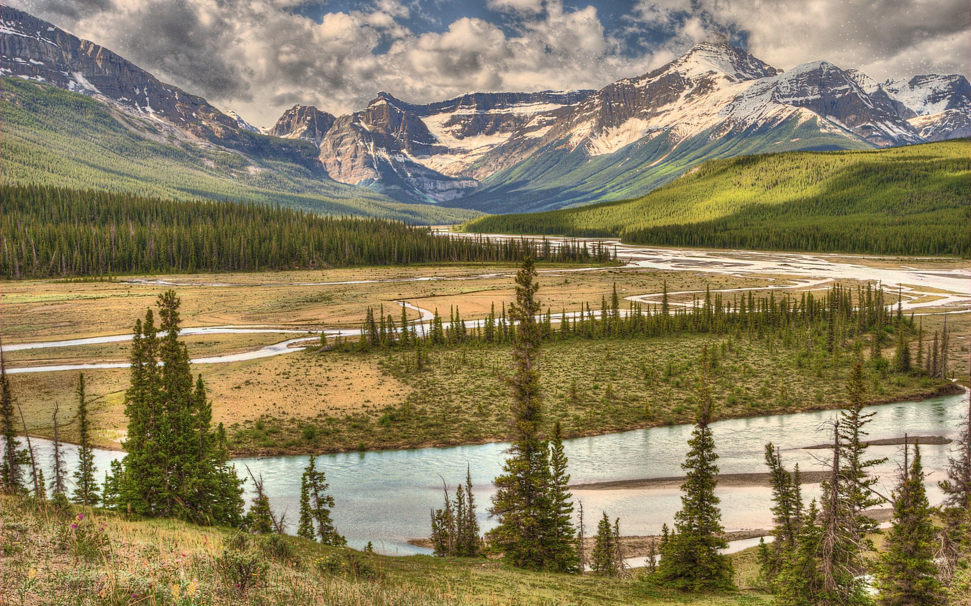 River valley with mountains and pine forest HD Wallpaper