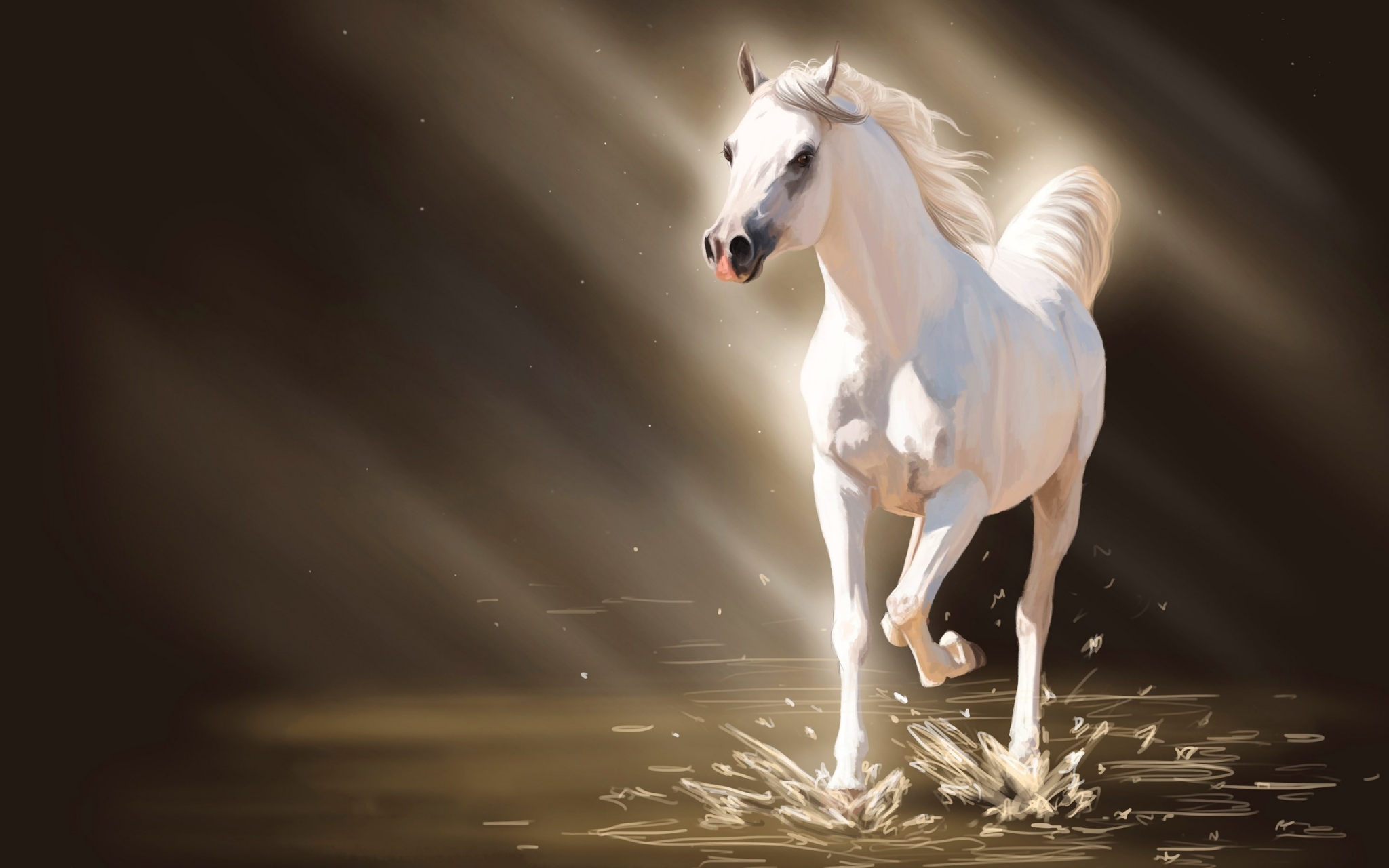 A white horse running through light beams HD Wallpaper